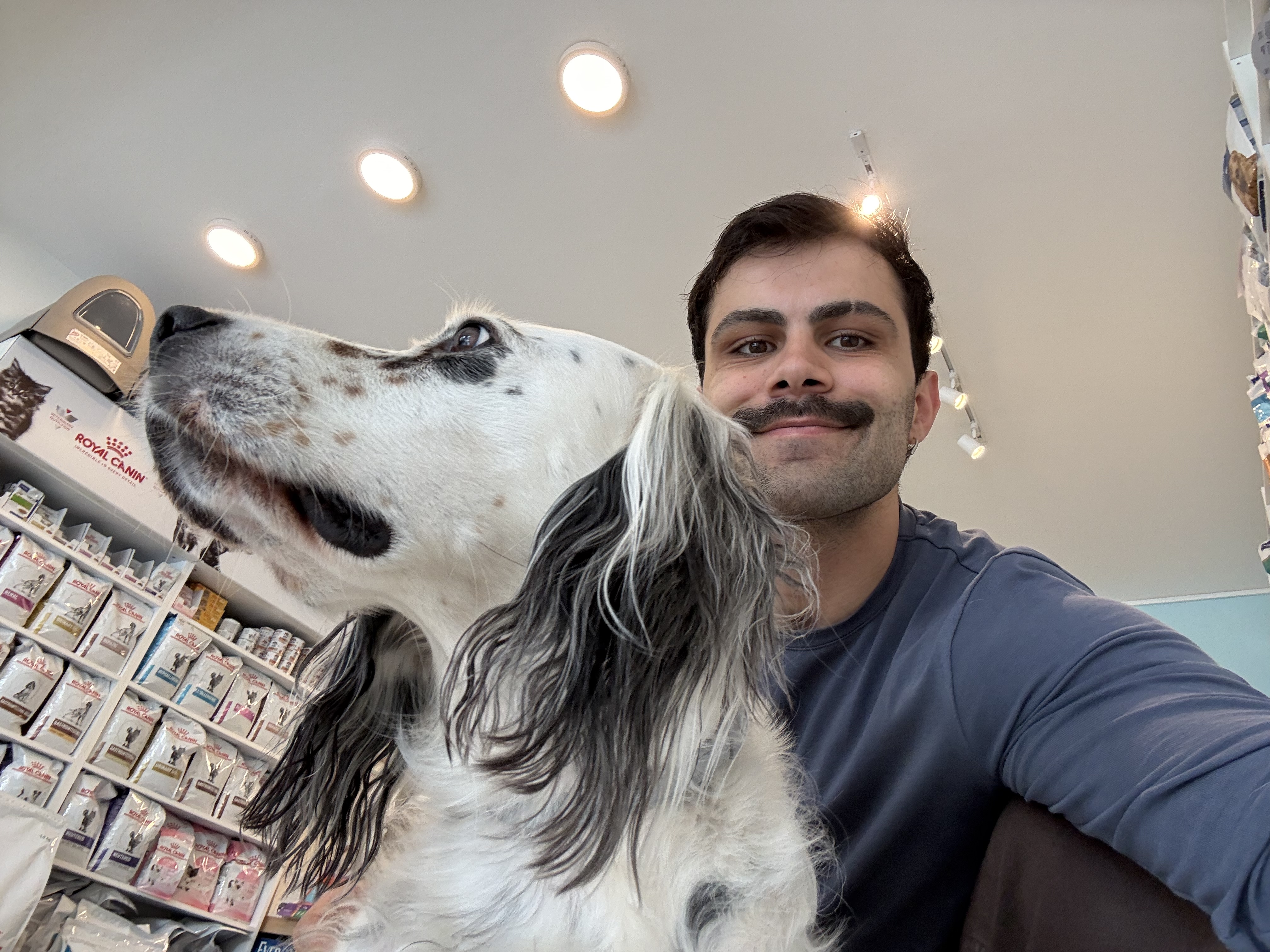 image-6
