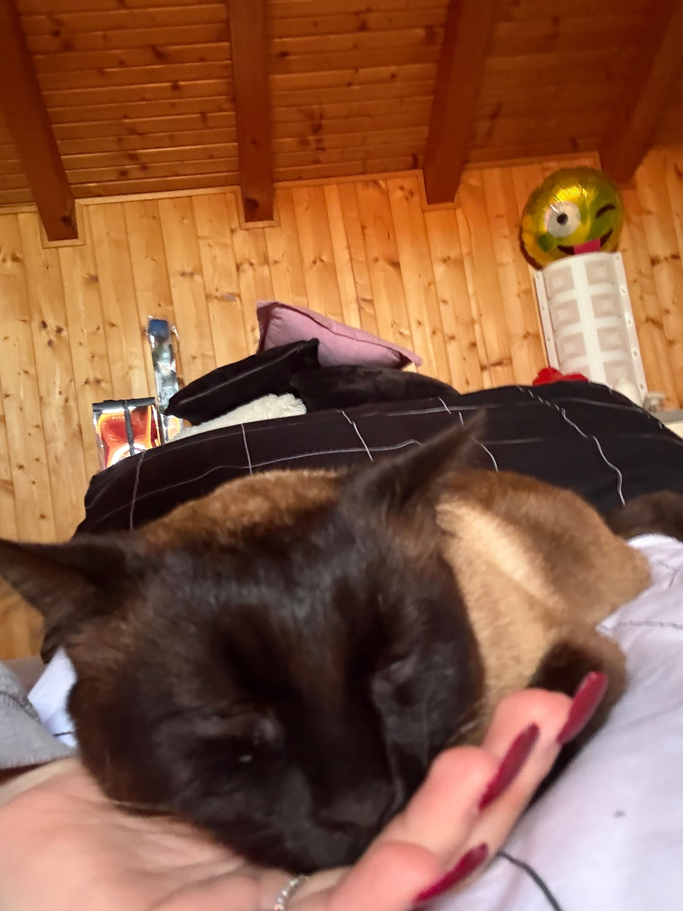 image-4