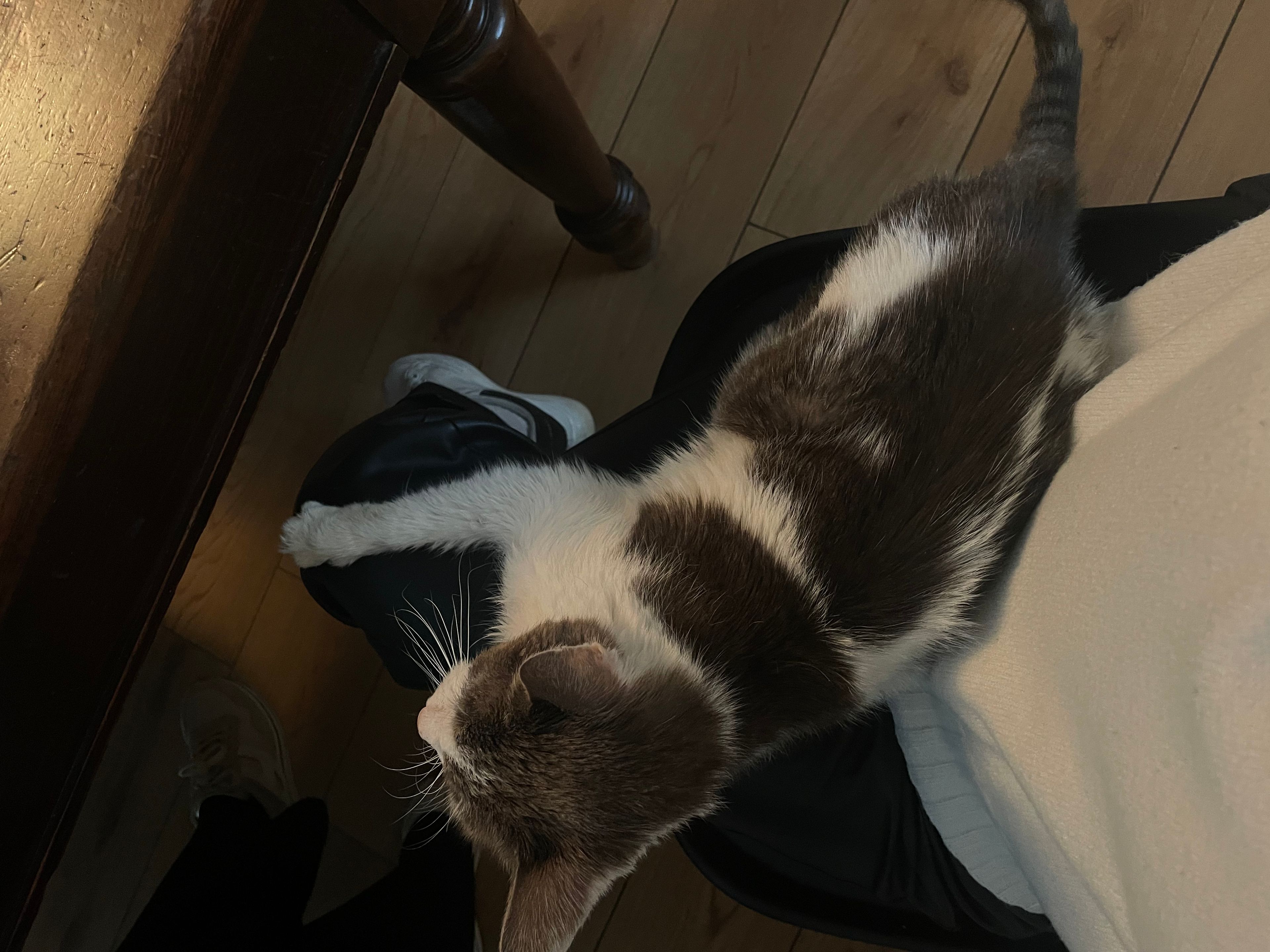 image-17