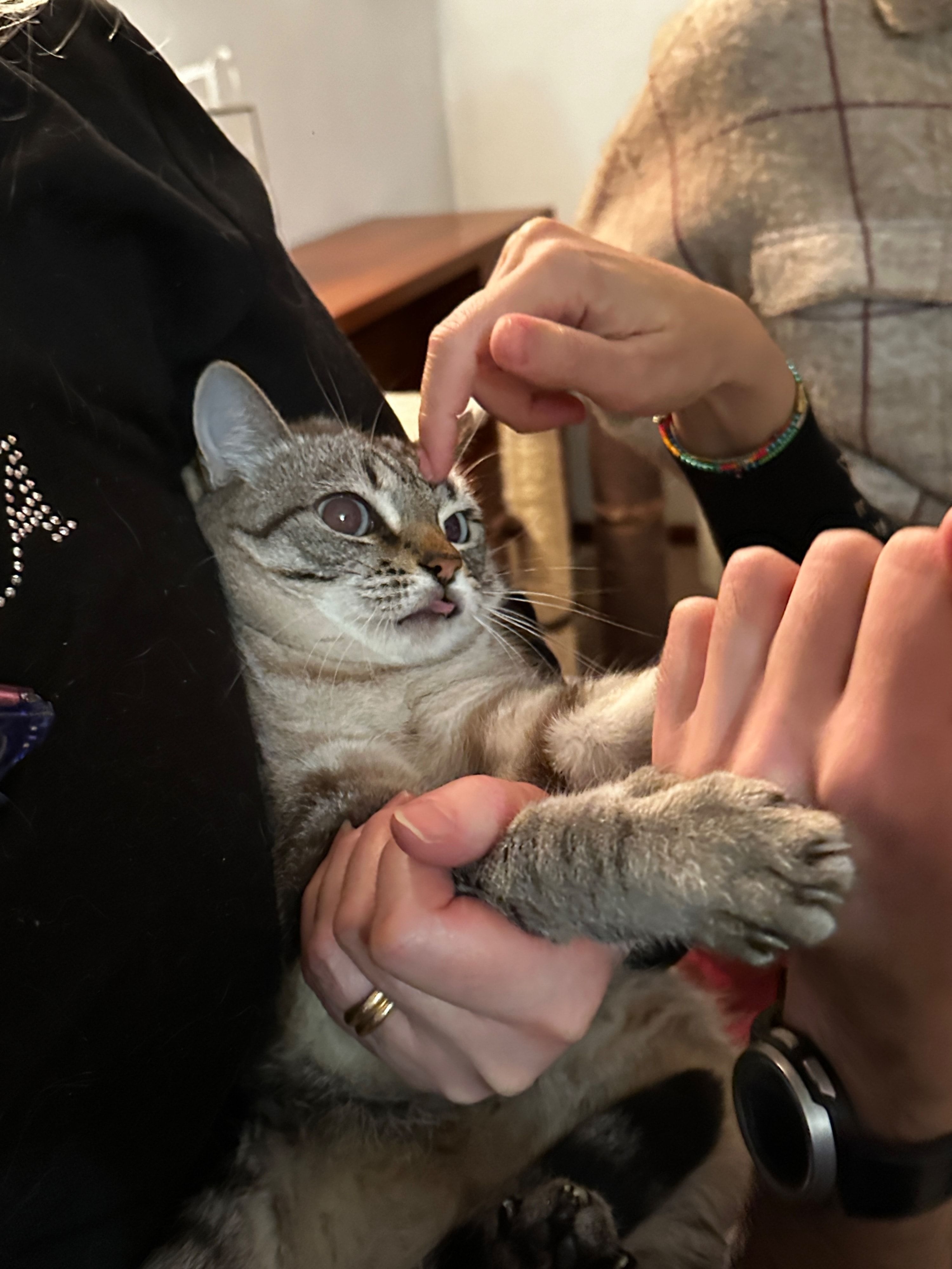 image-8