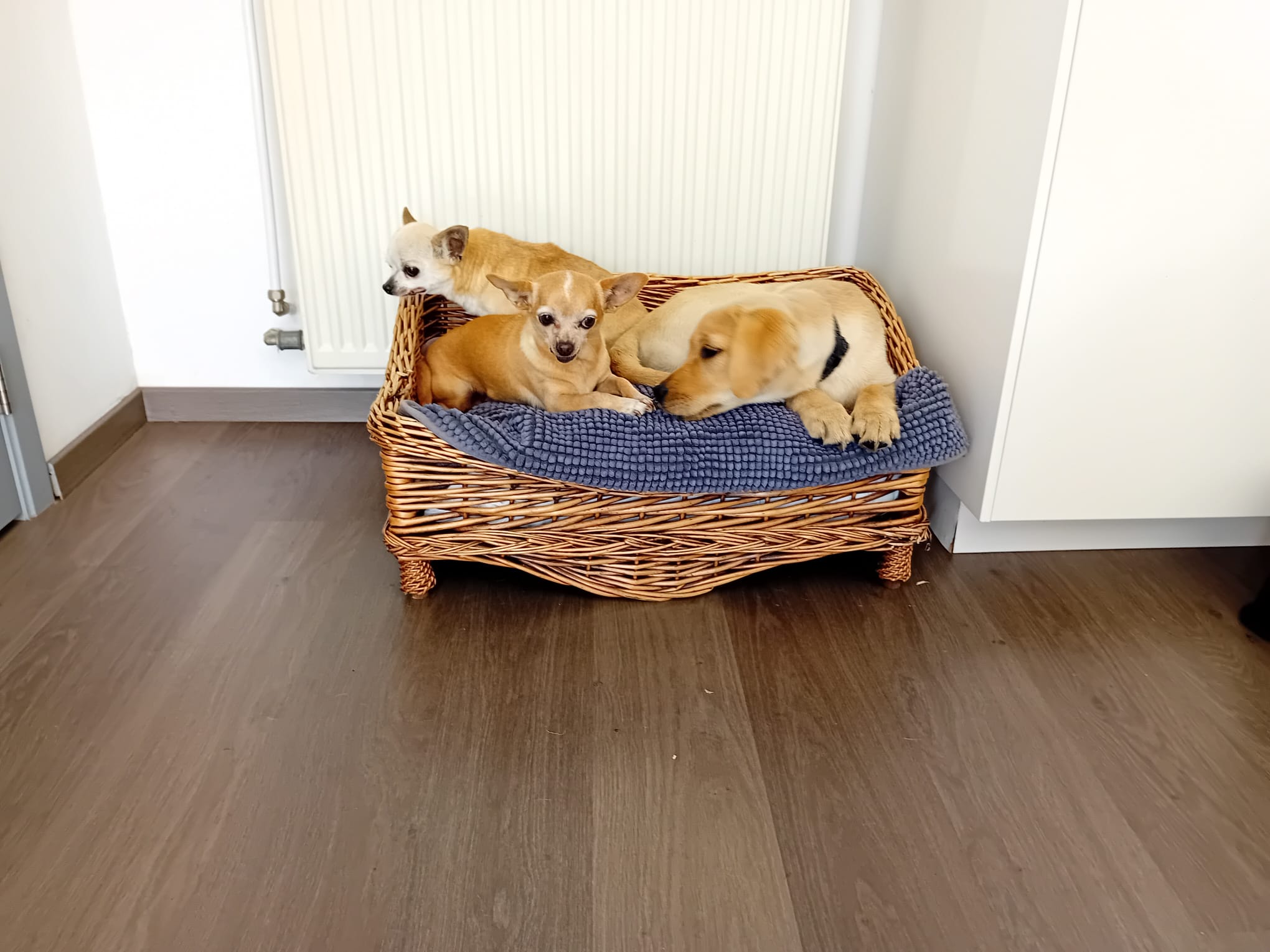 image-27