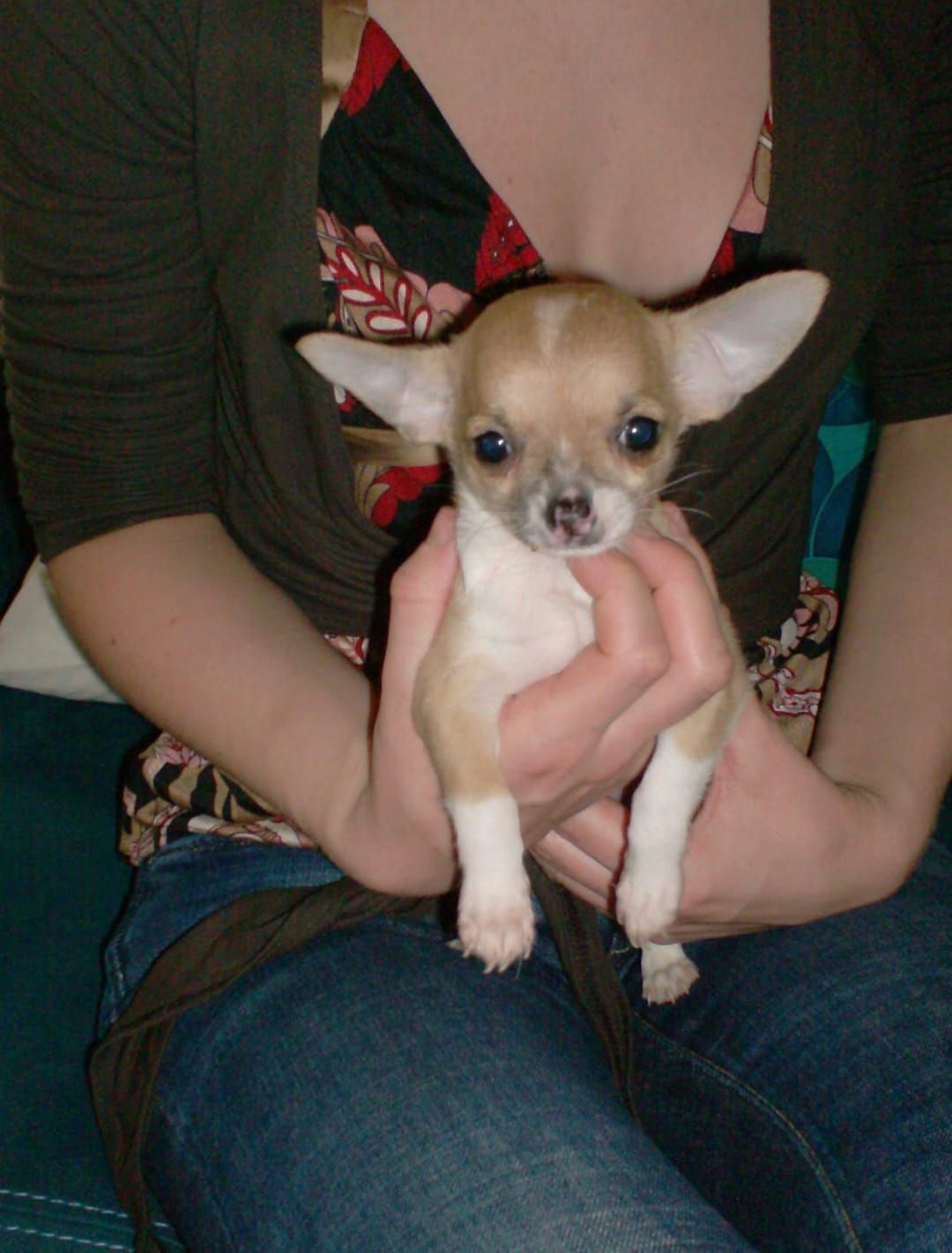 image-22