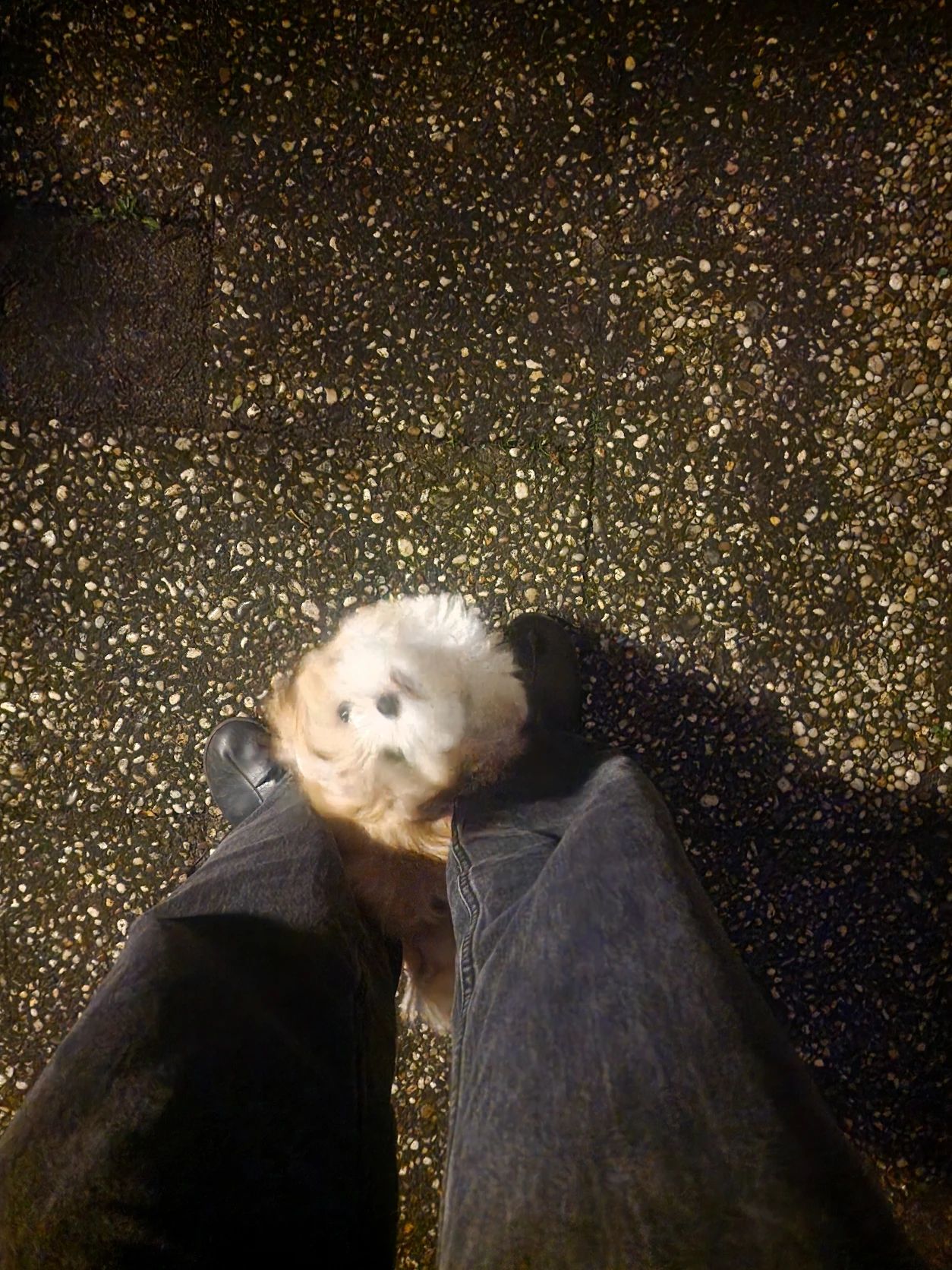 image-6