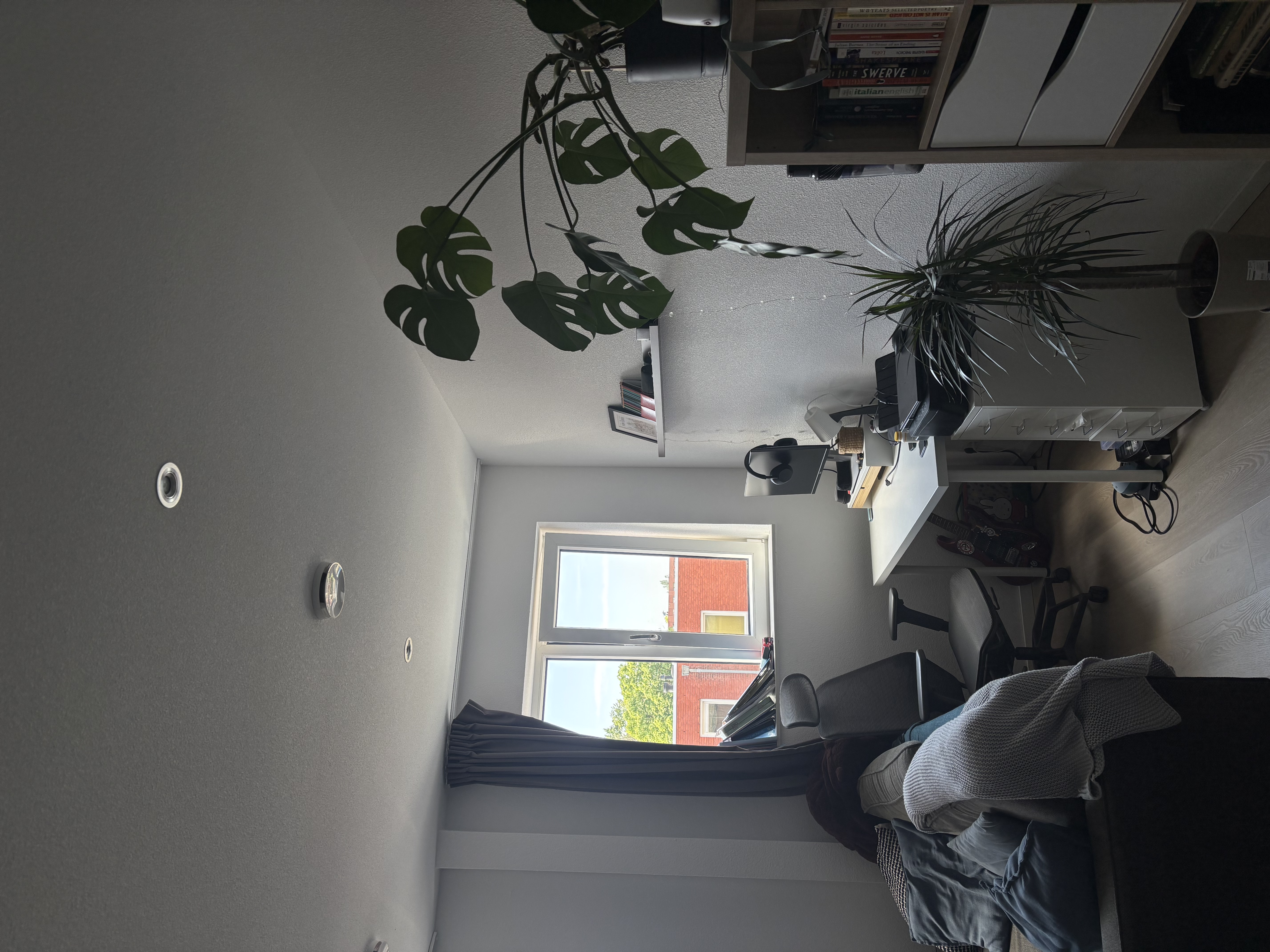 image-12