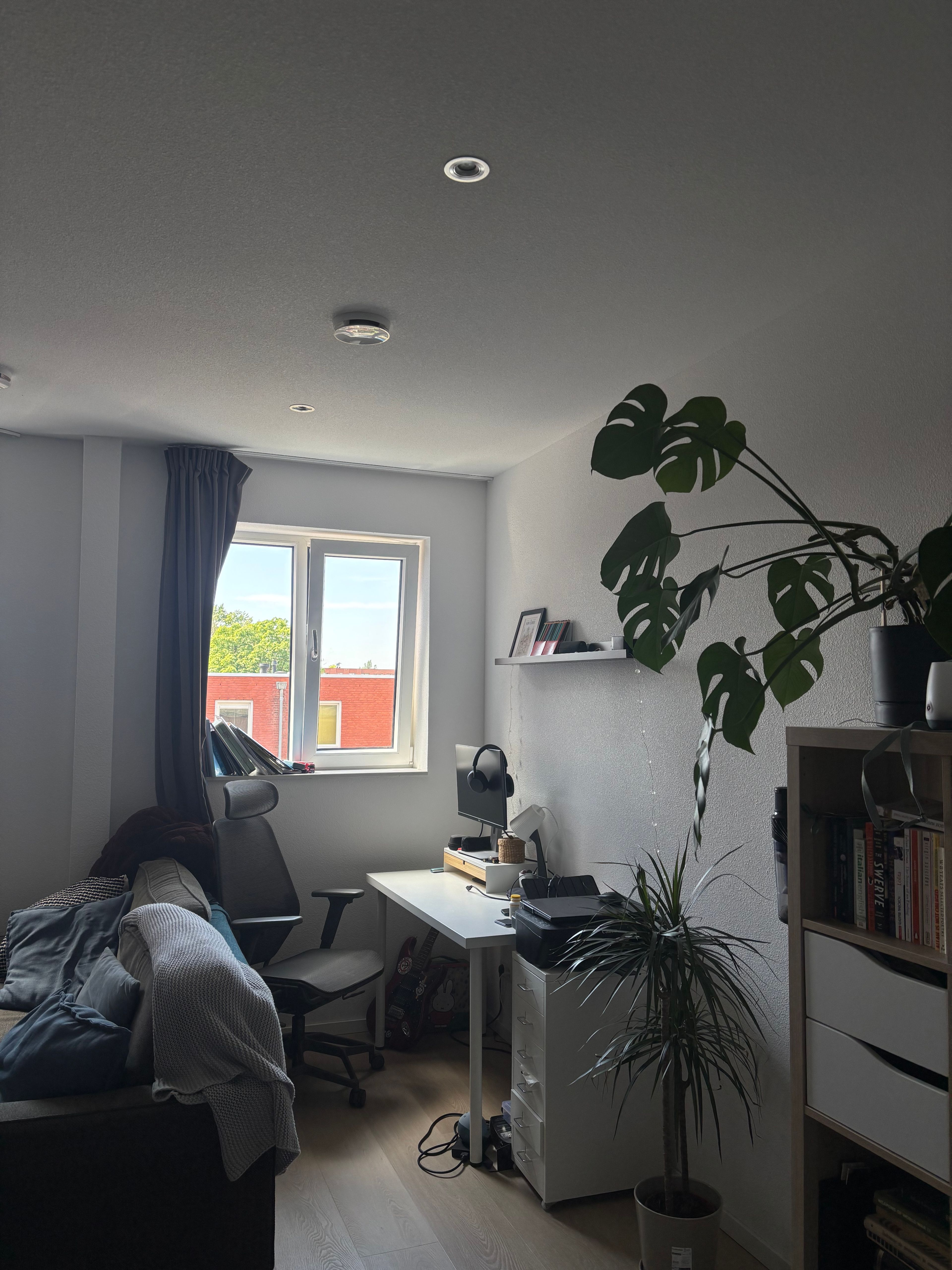 image-12