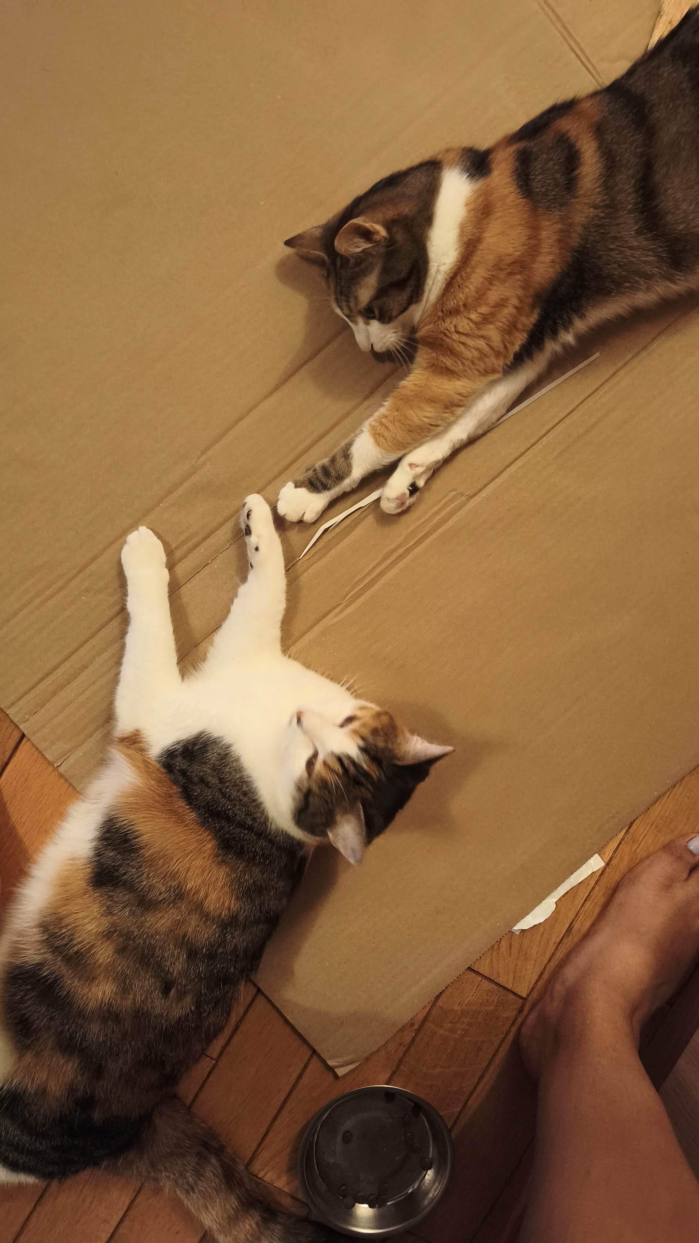 image-5