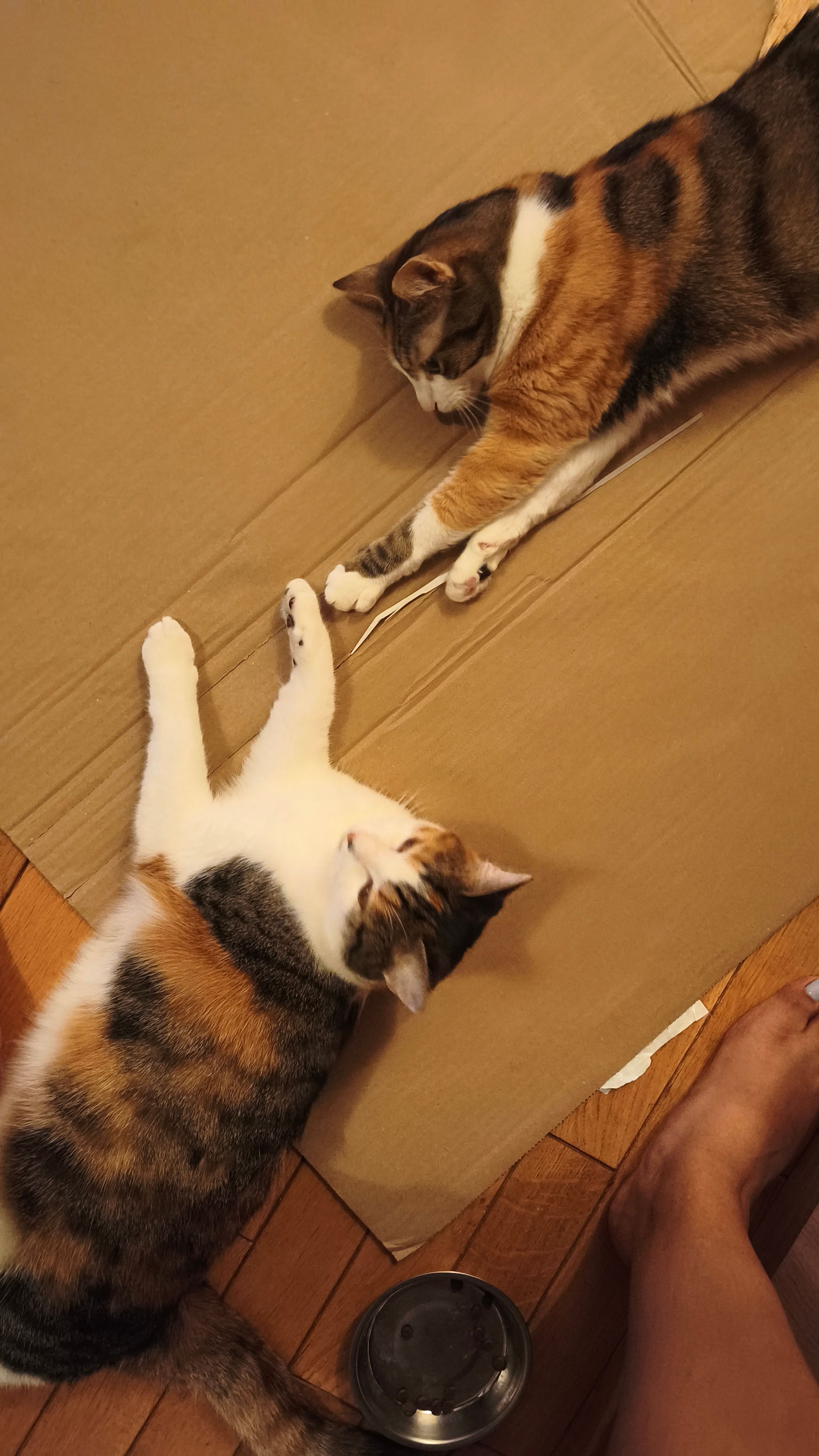 image-5