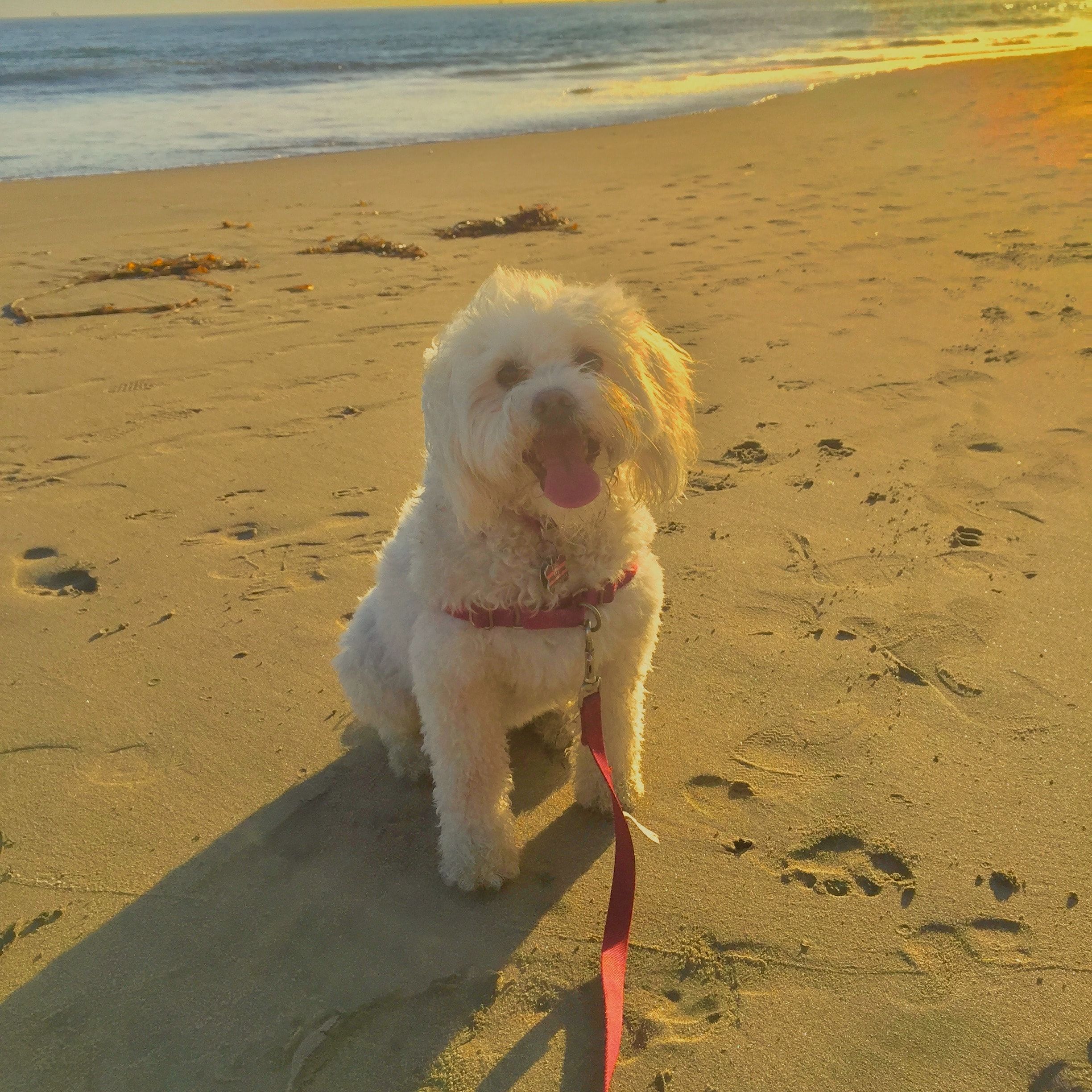 Ellie