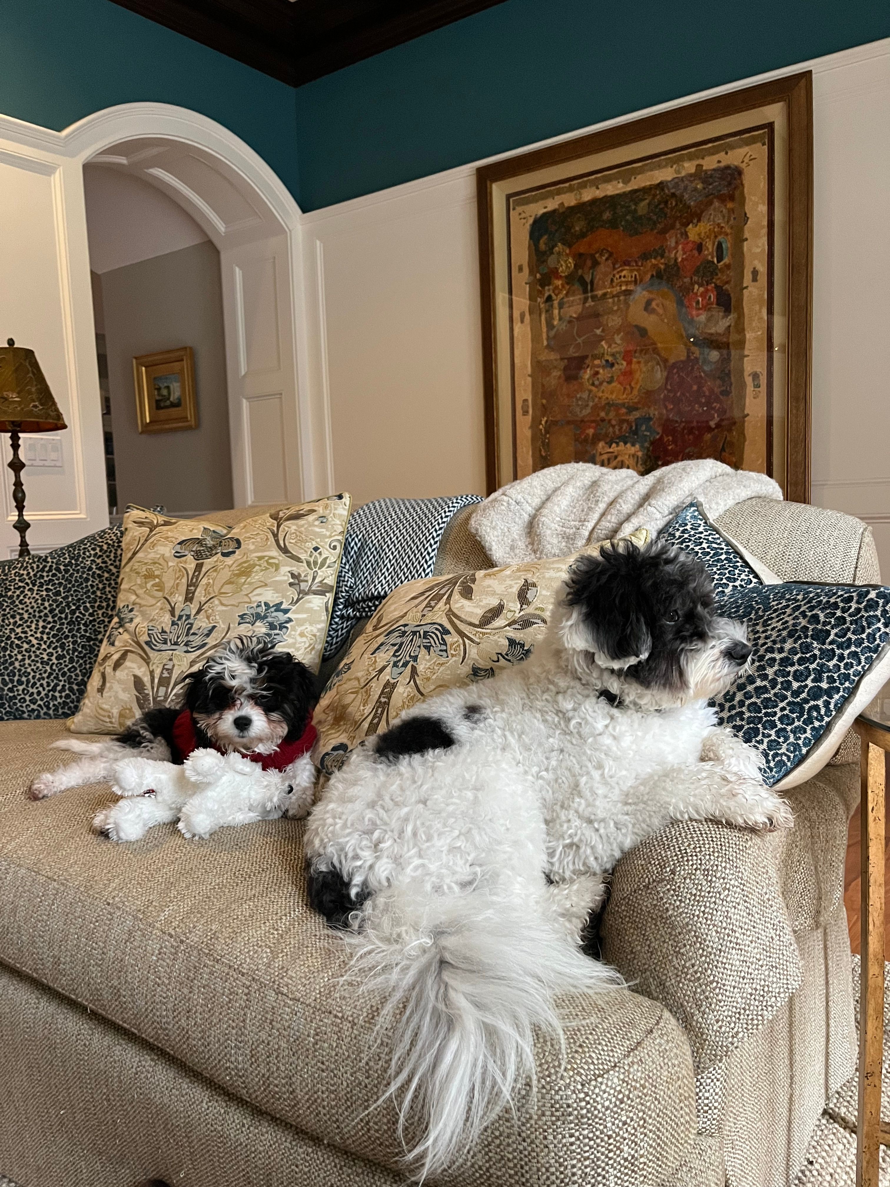image-6