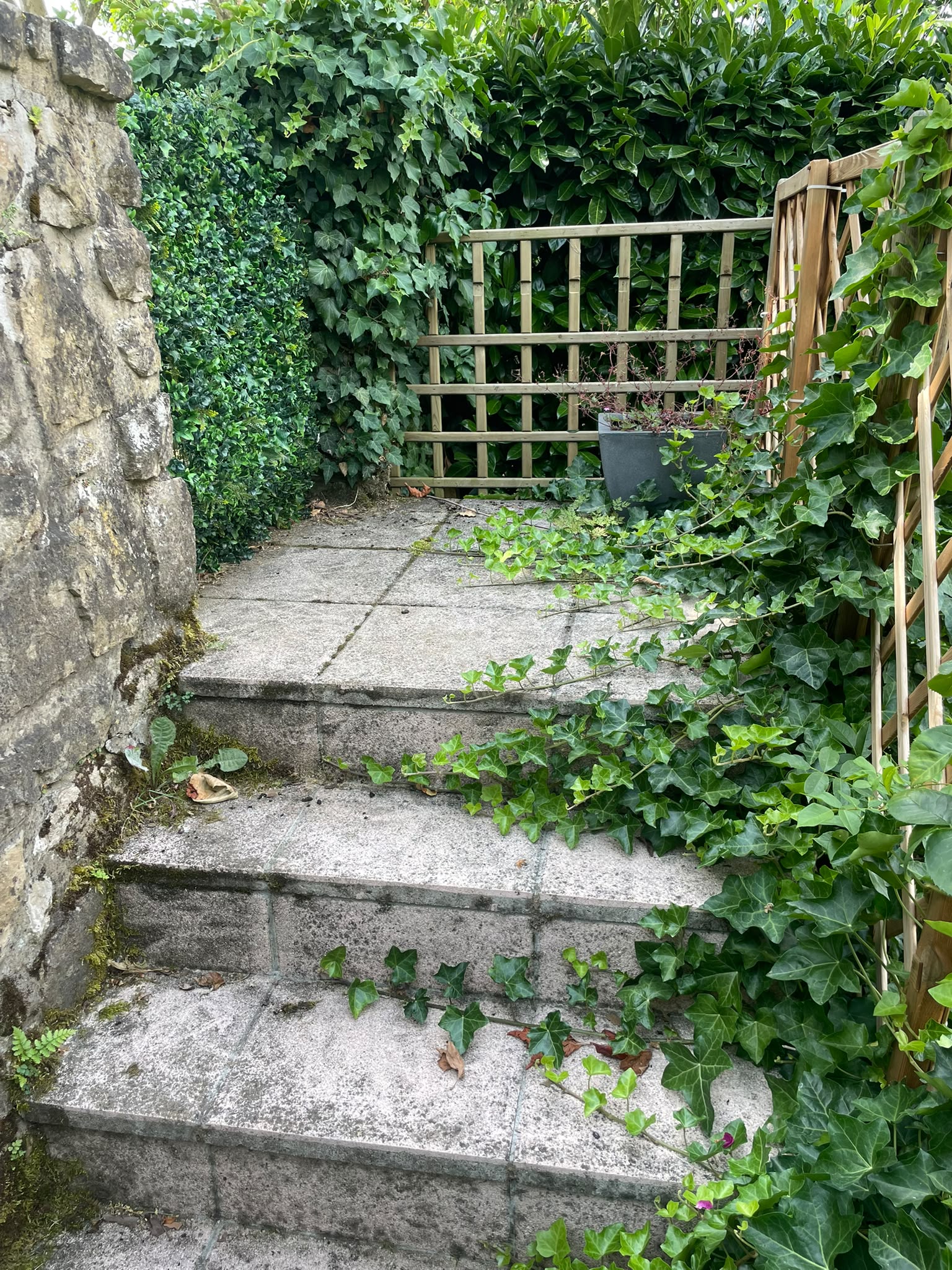image-14