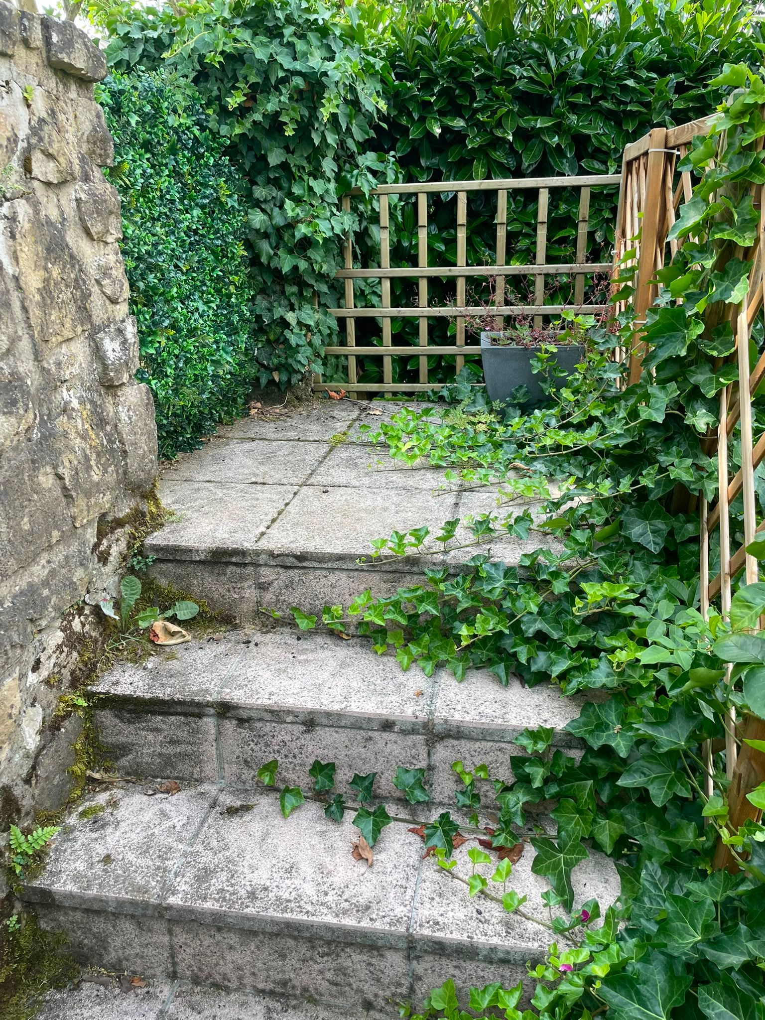 image-14