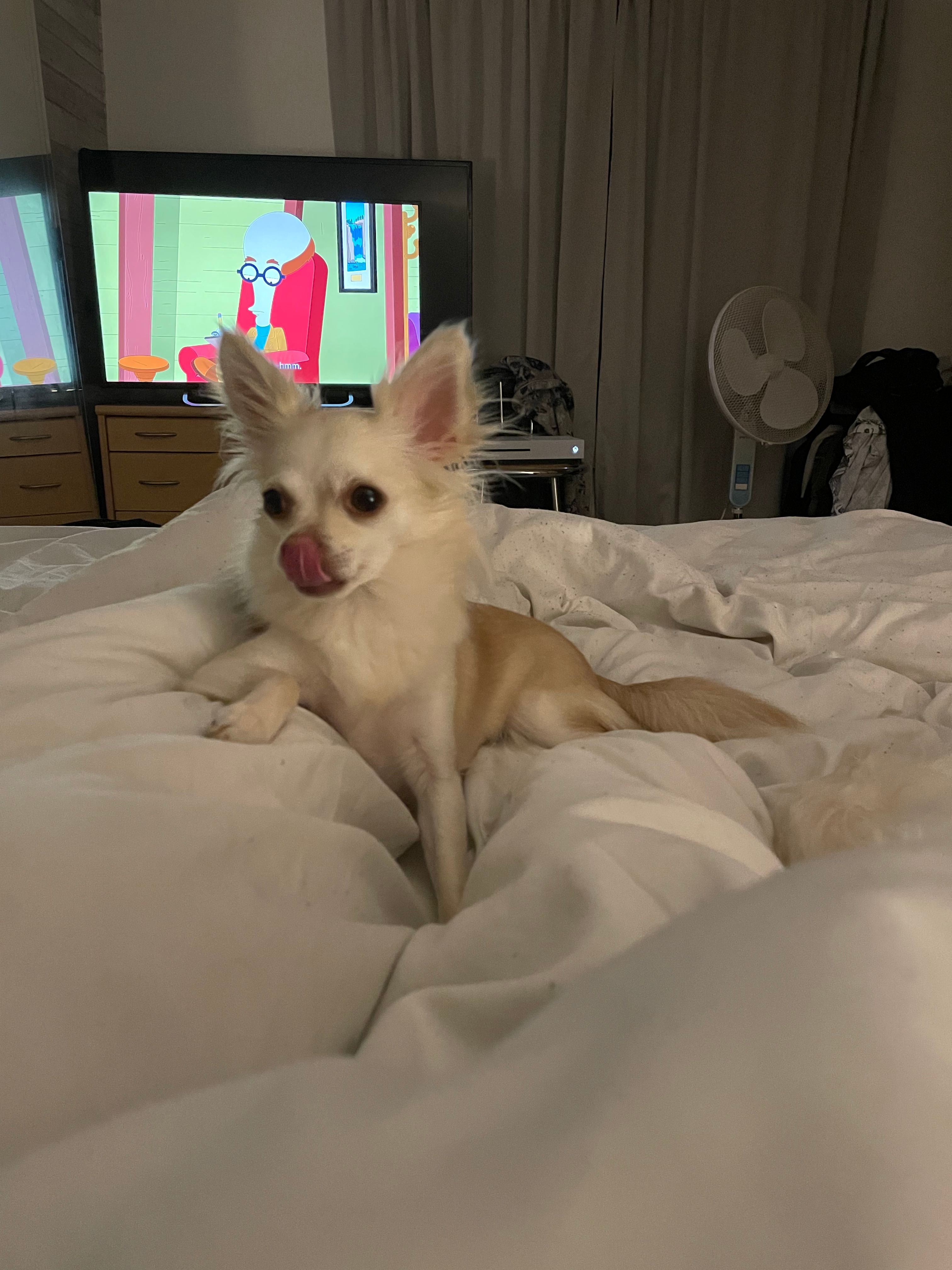 image-13