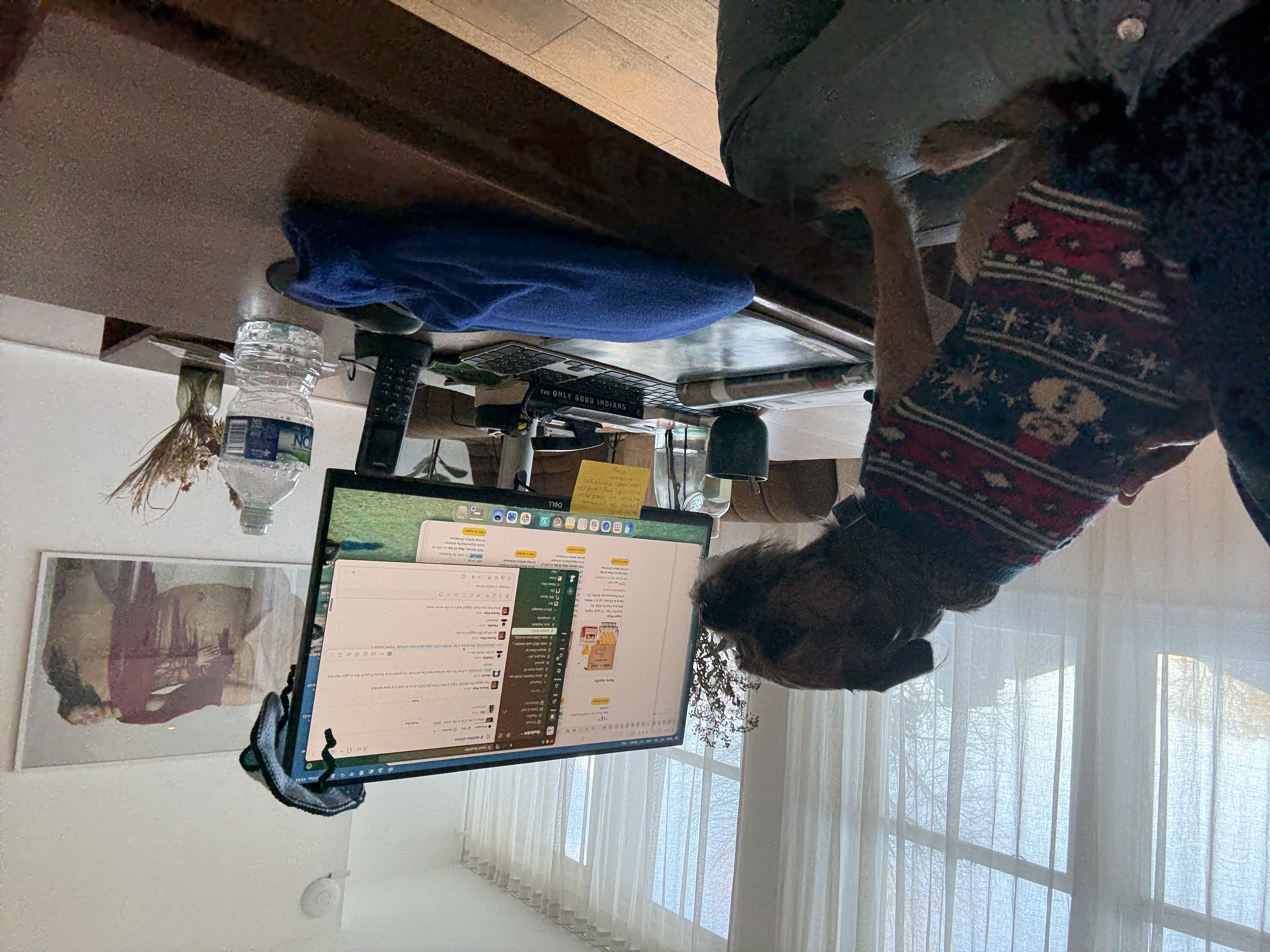 image-10
