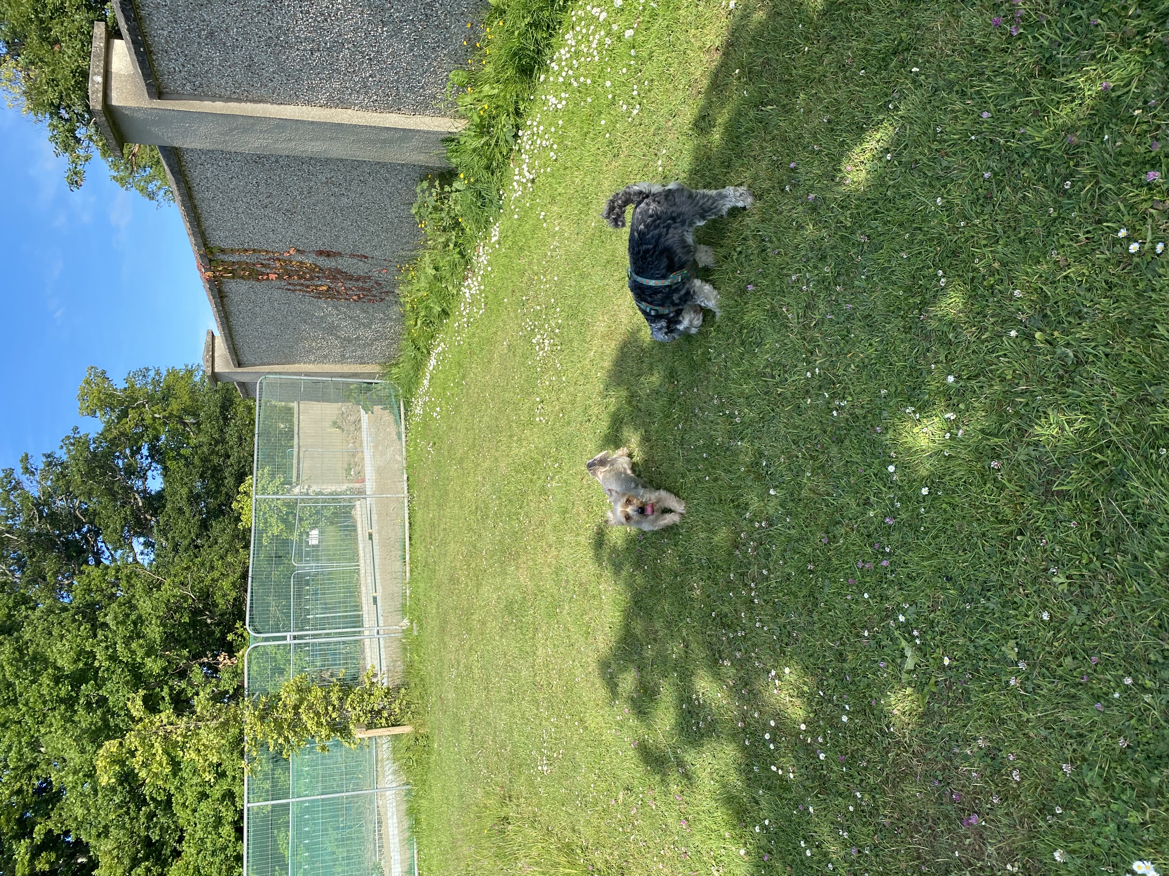 image-13