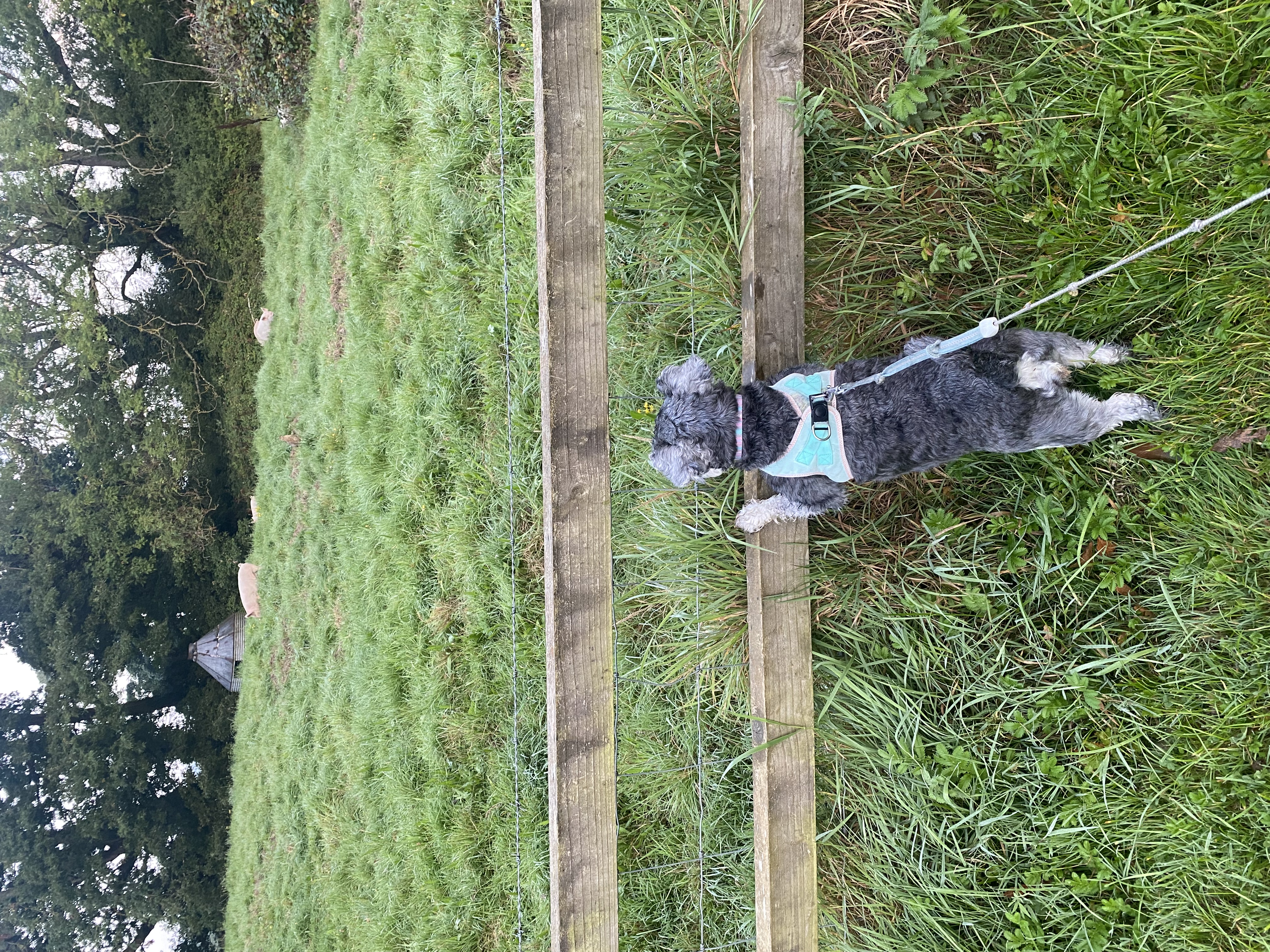 image-14