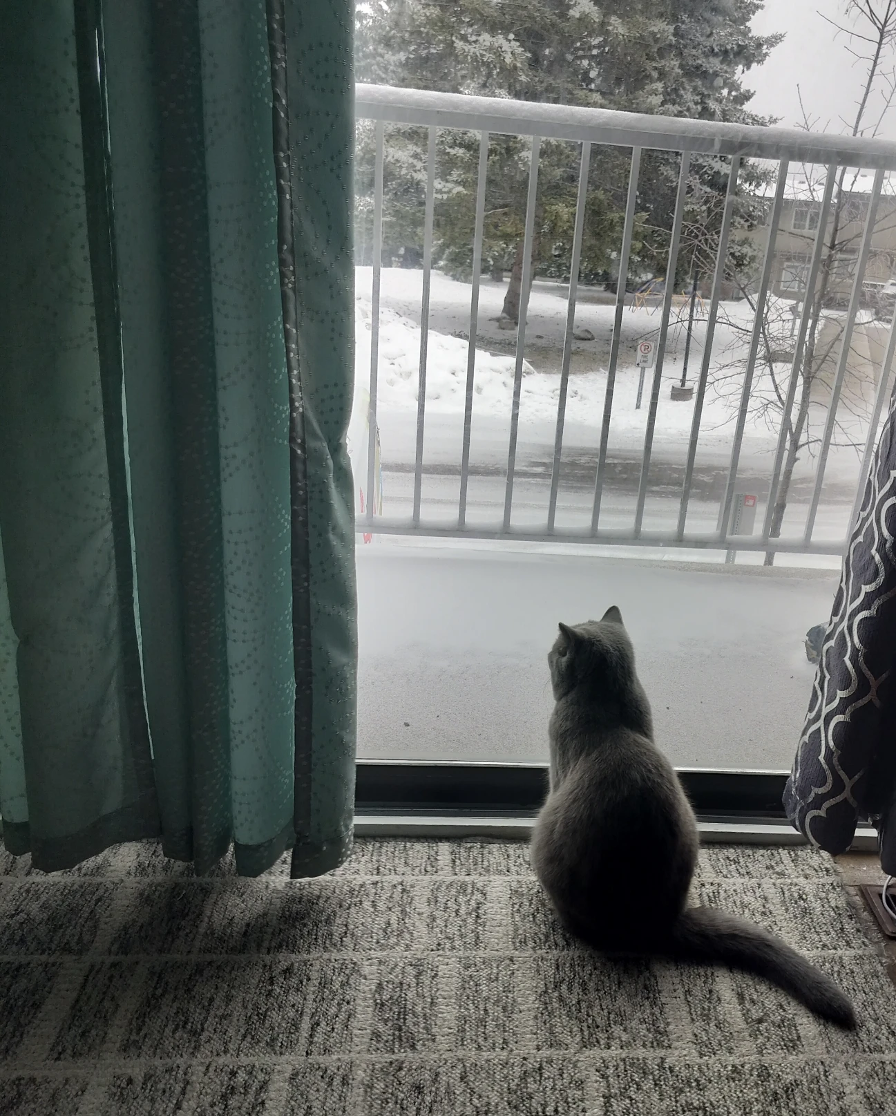 image-37
