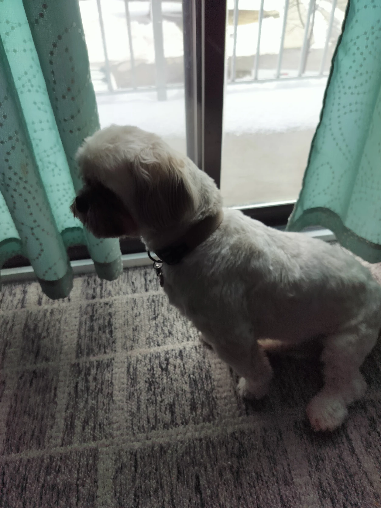 image-42