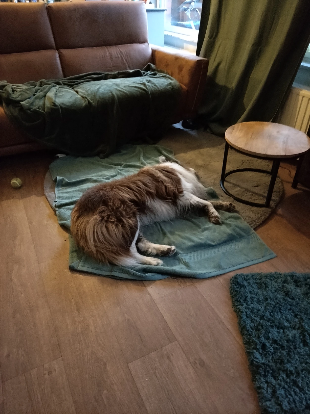 image-13