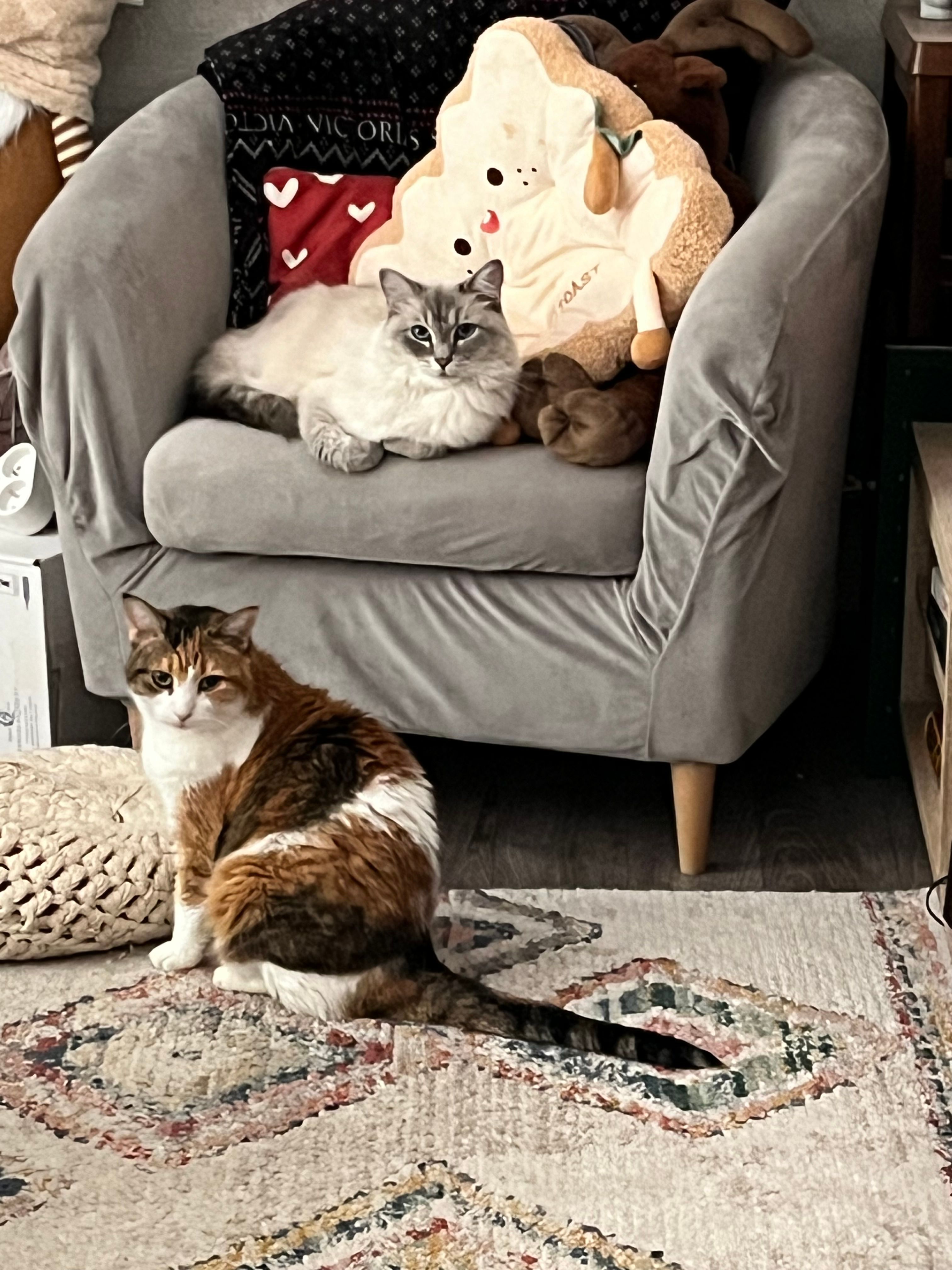 image-15
