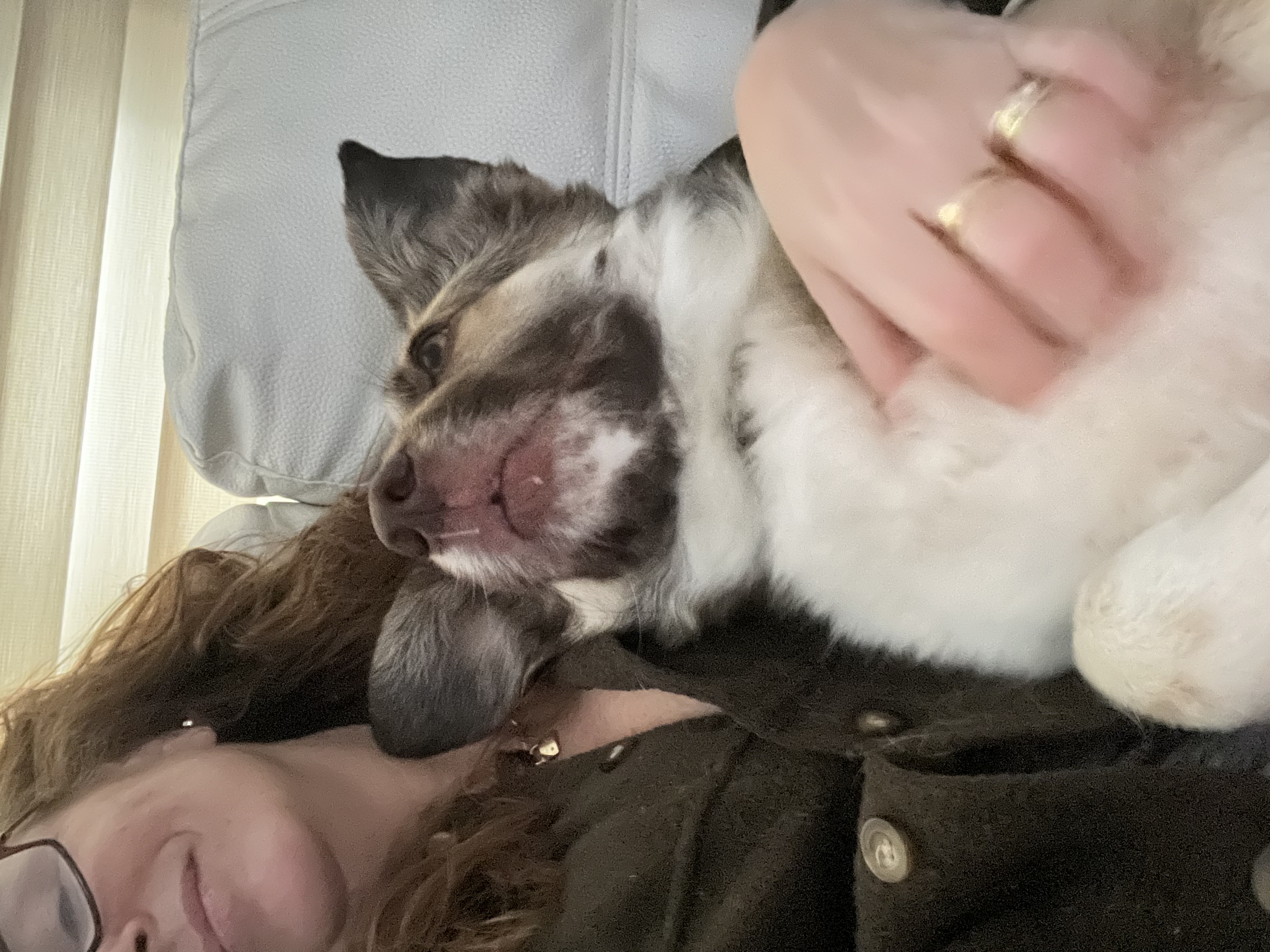 image-6