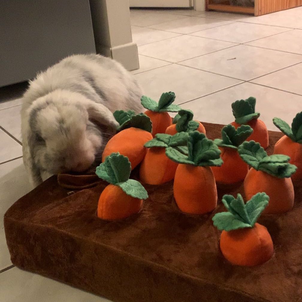 Pom