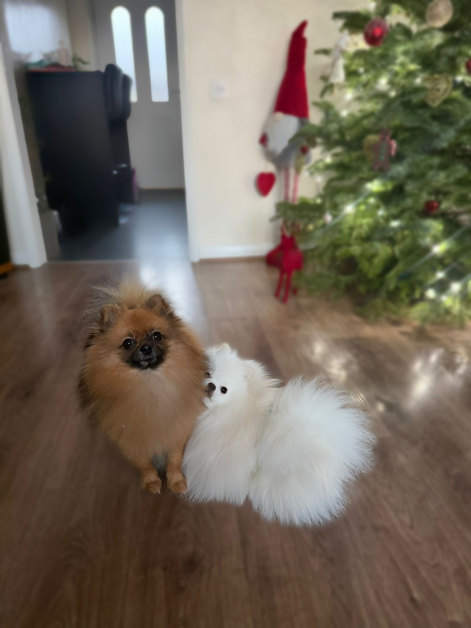 image-27