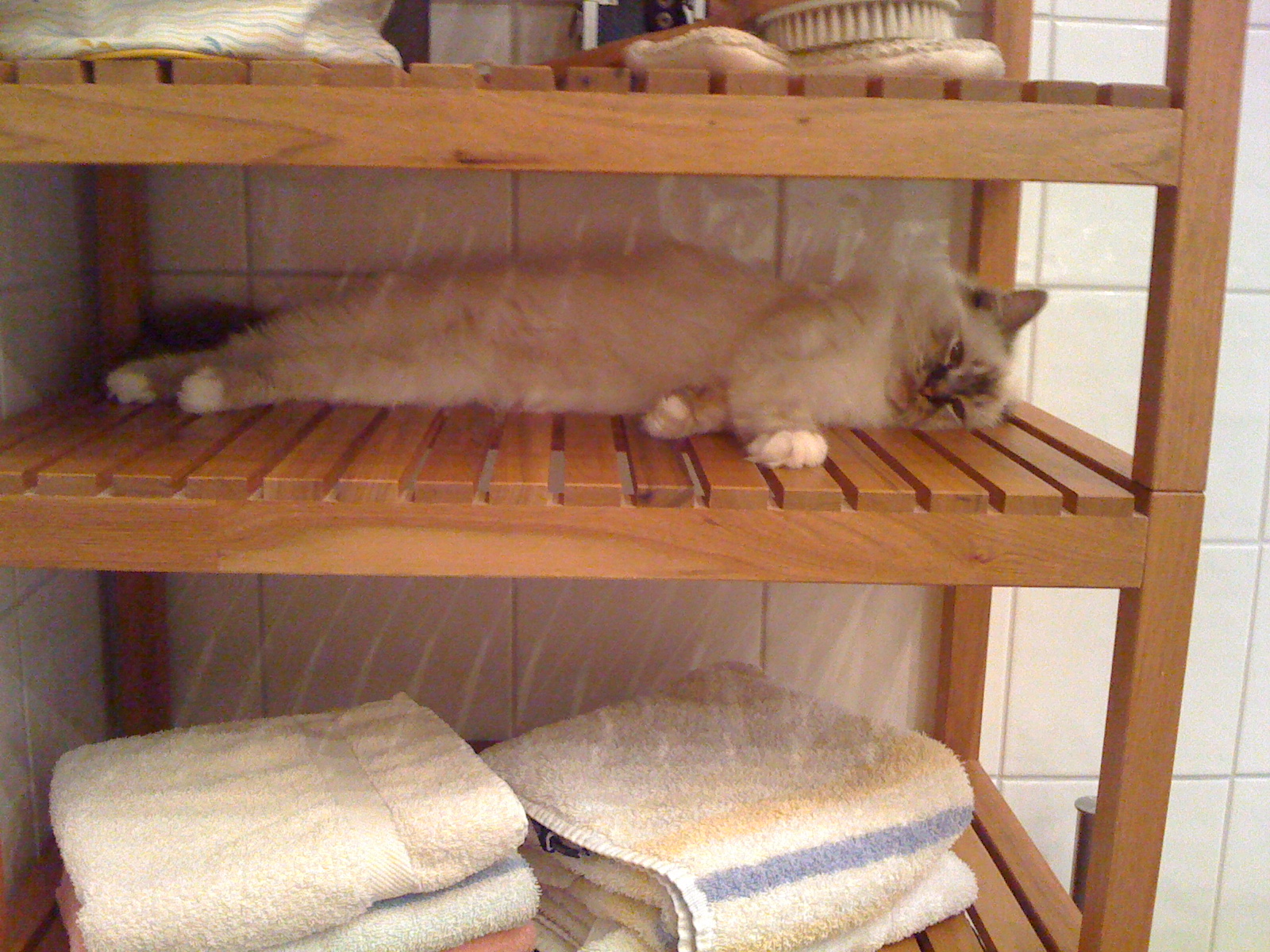 image-5