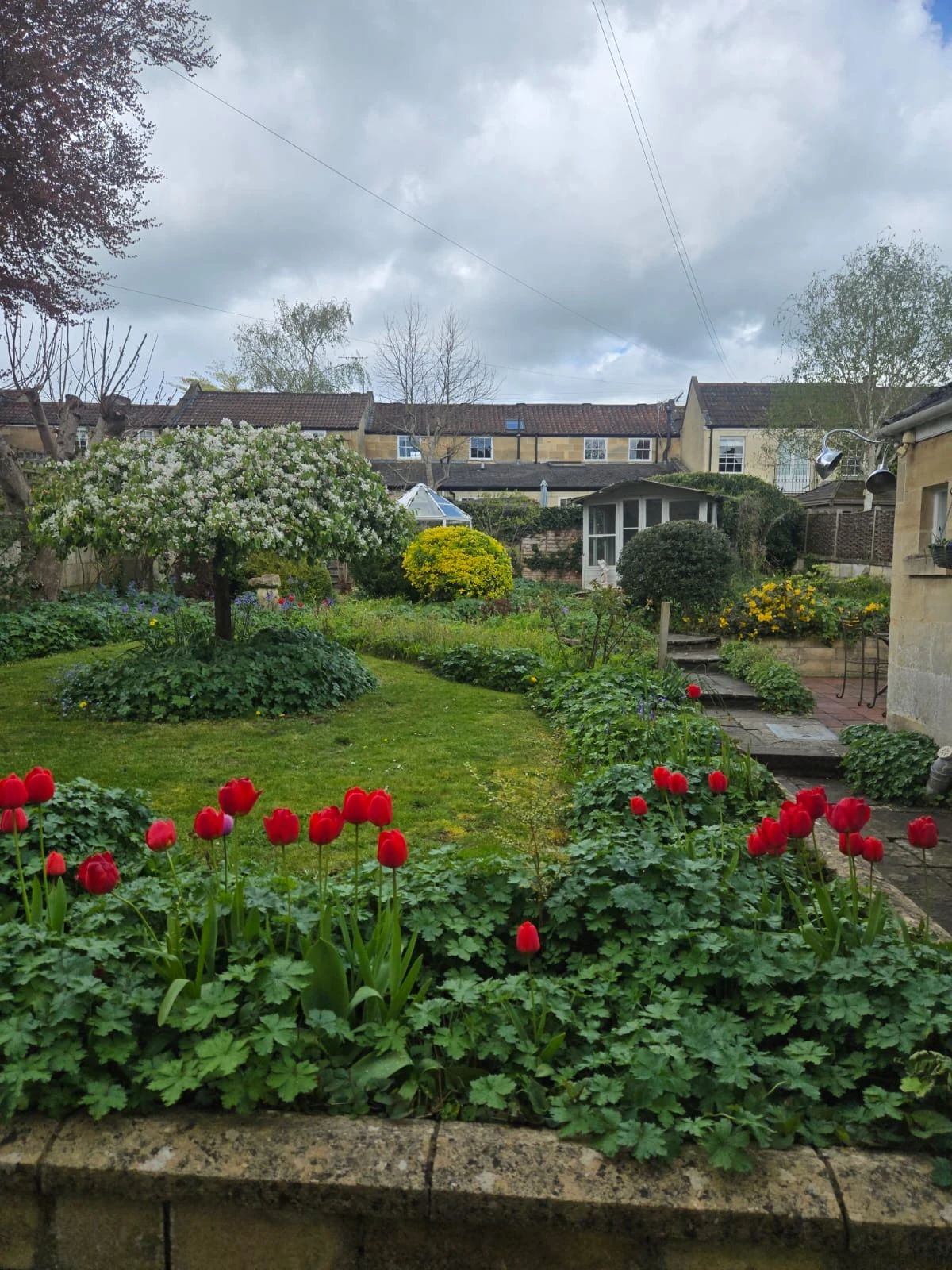 image-24
