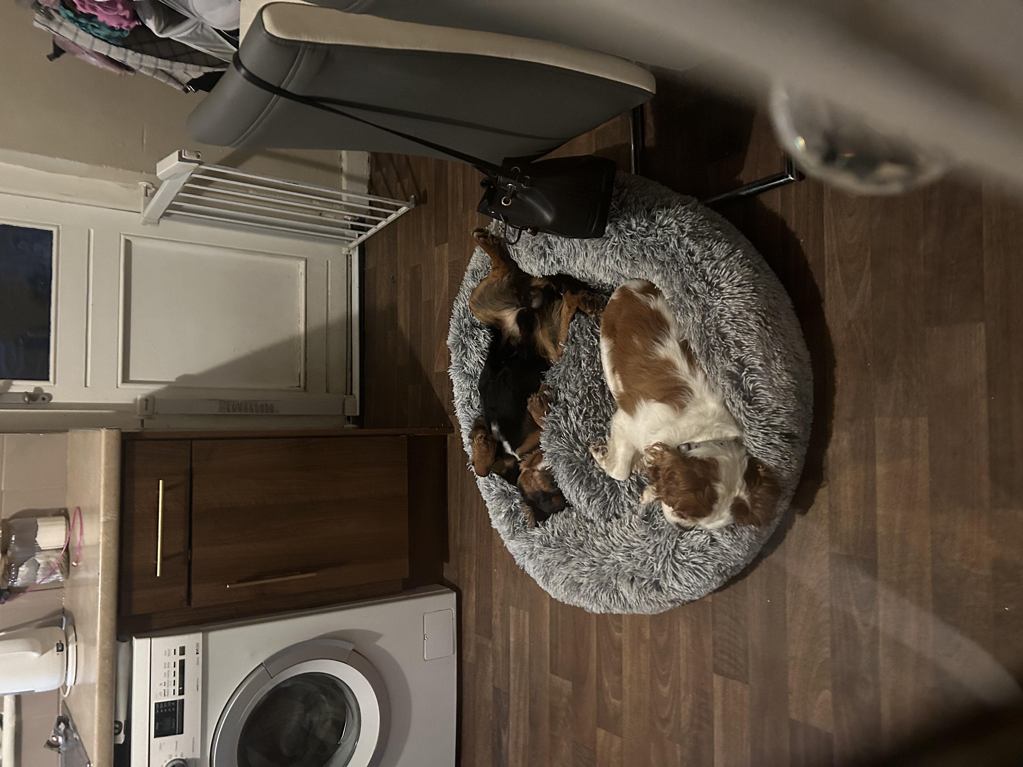 image-13