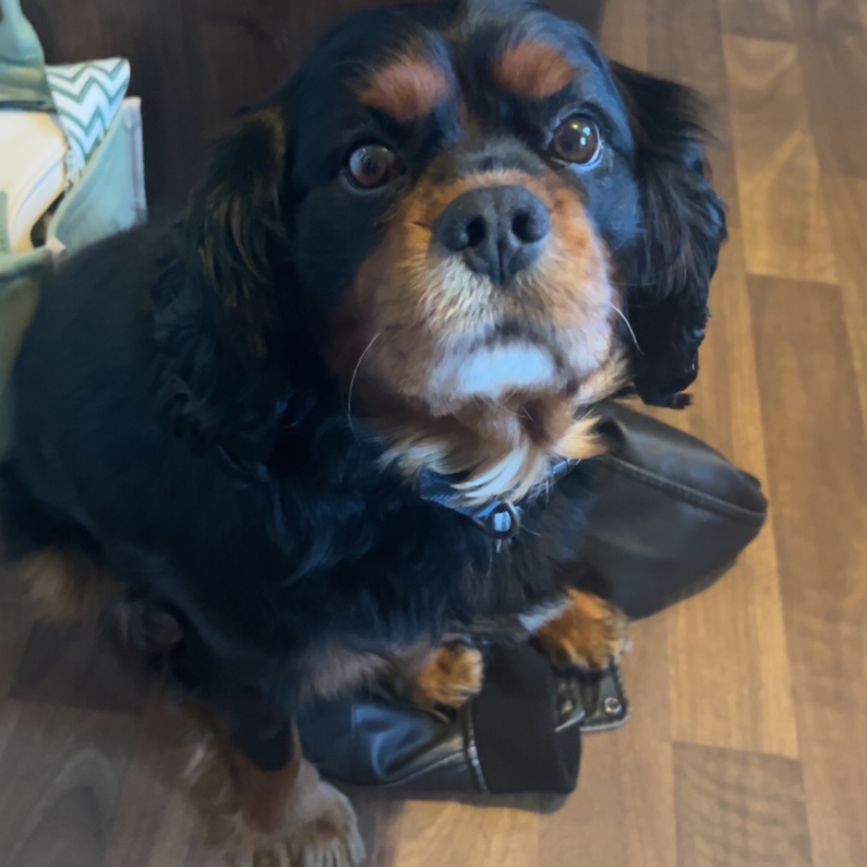 Charlie