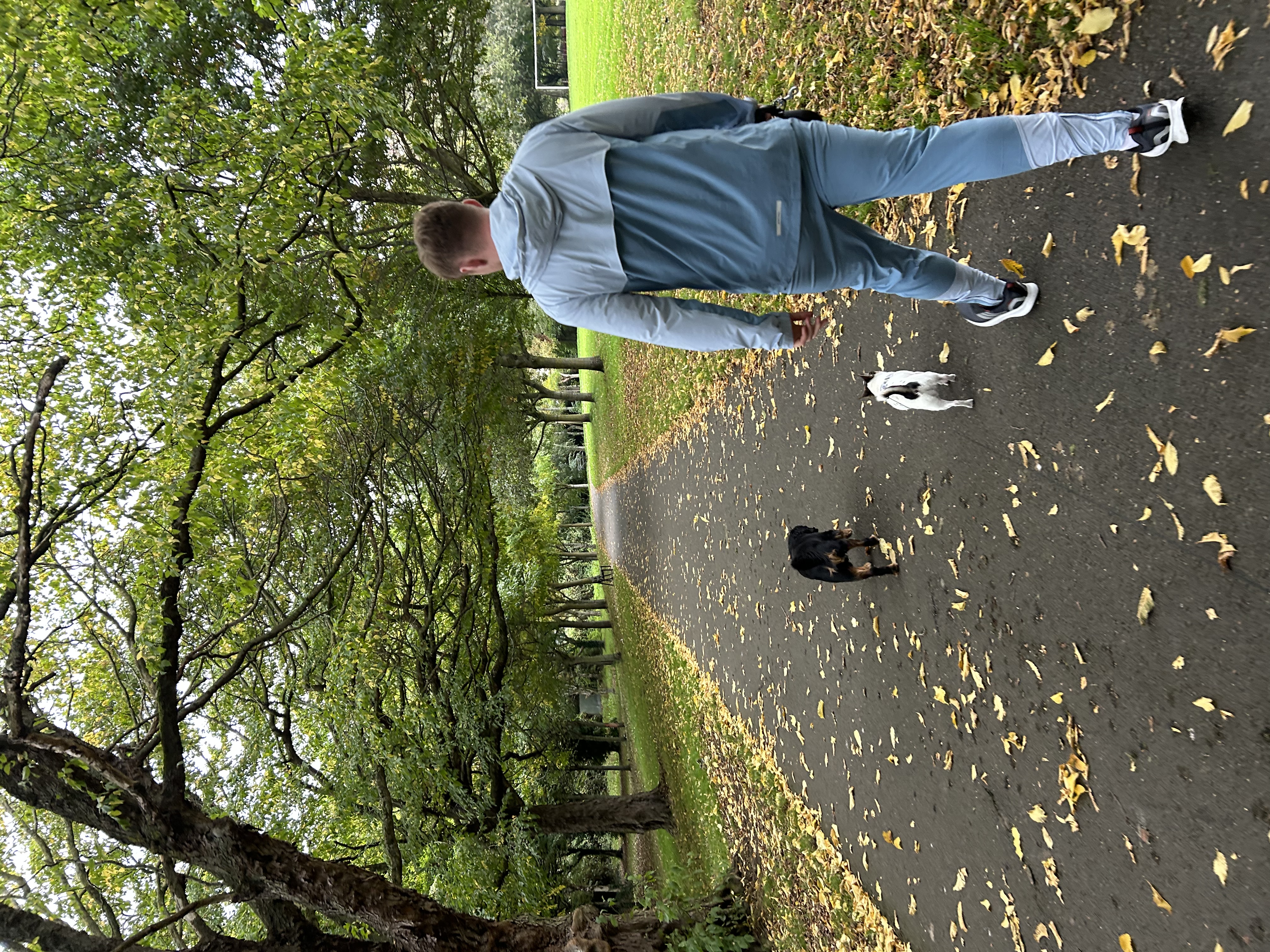 image-14