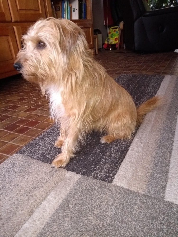image-18