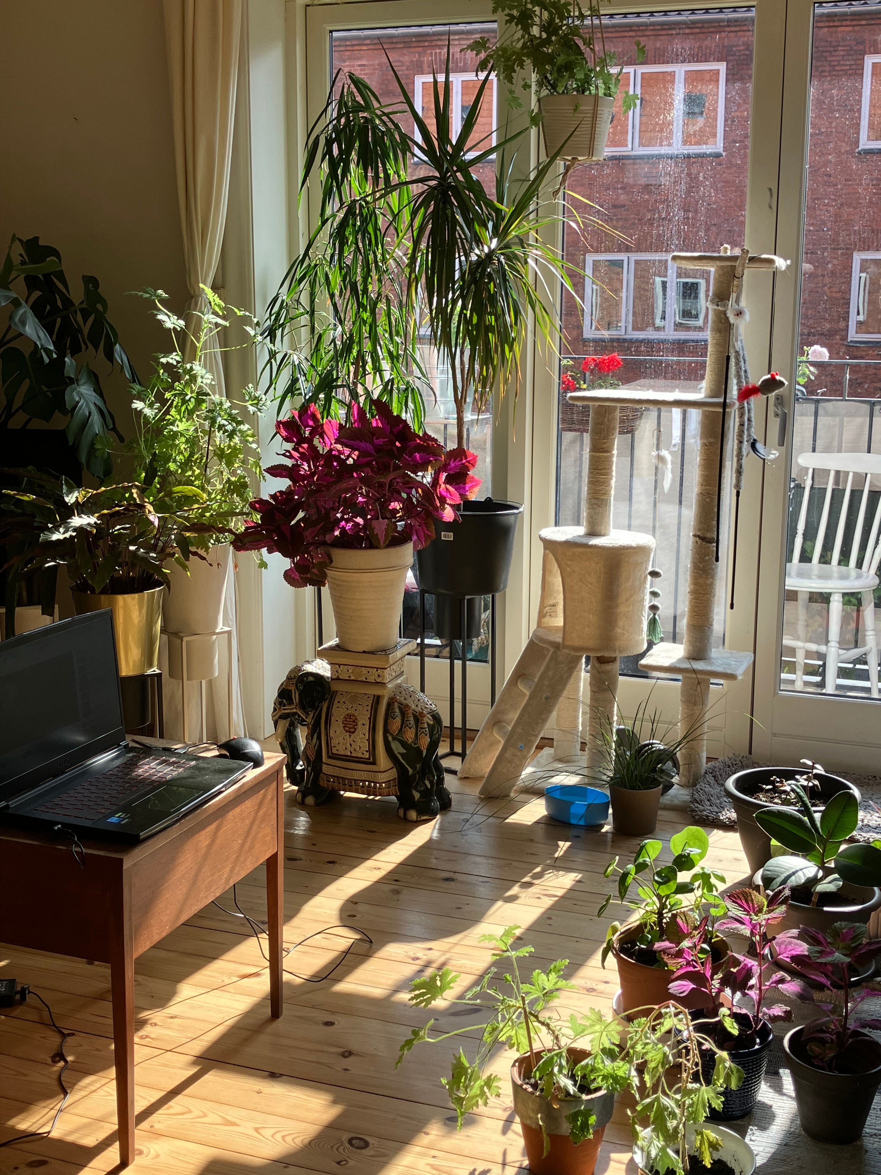 image-13