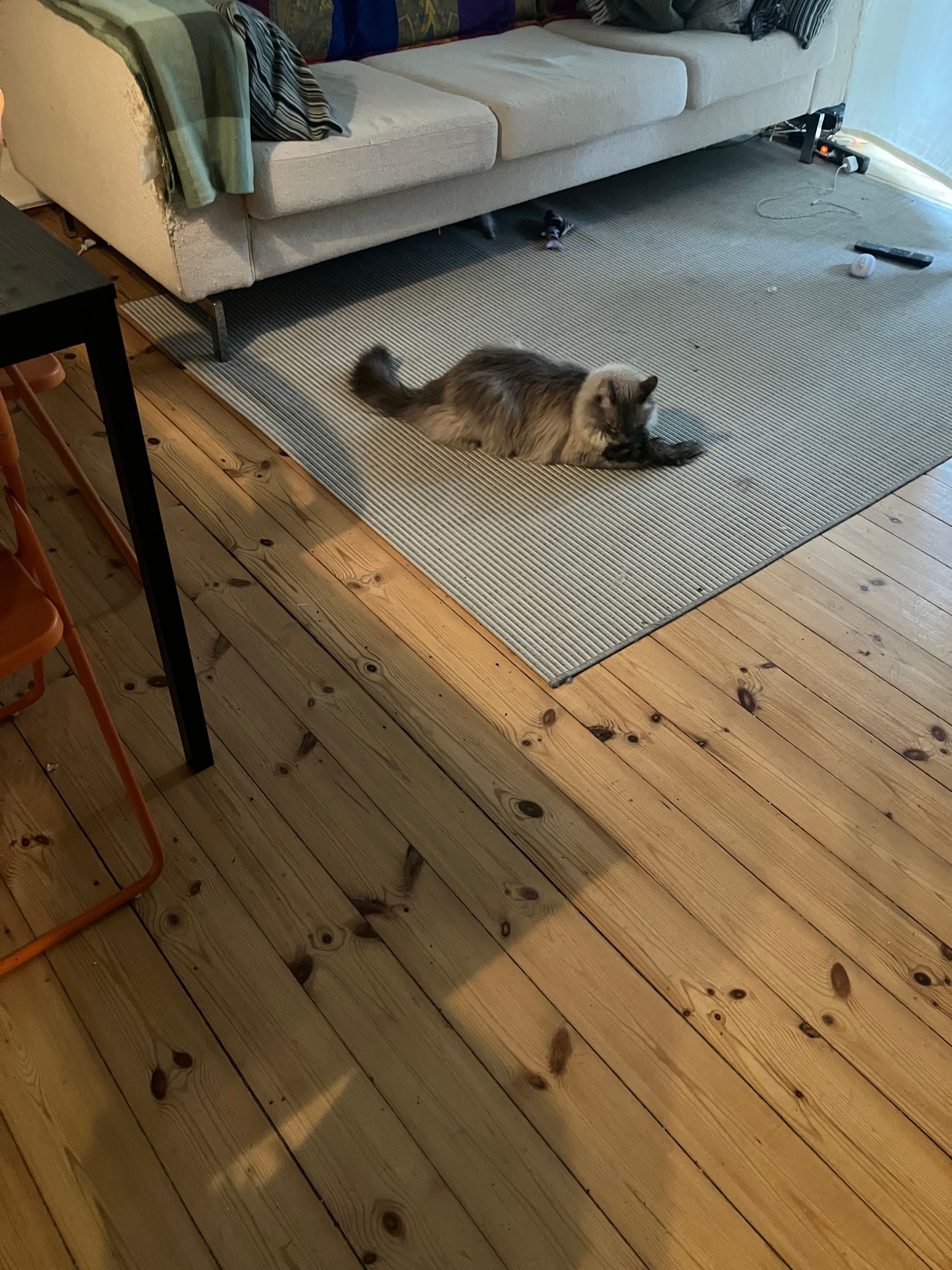 image-15