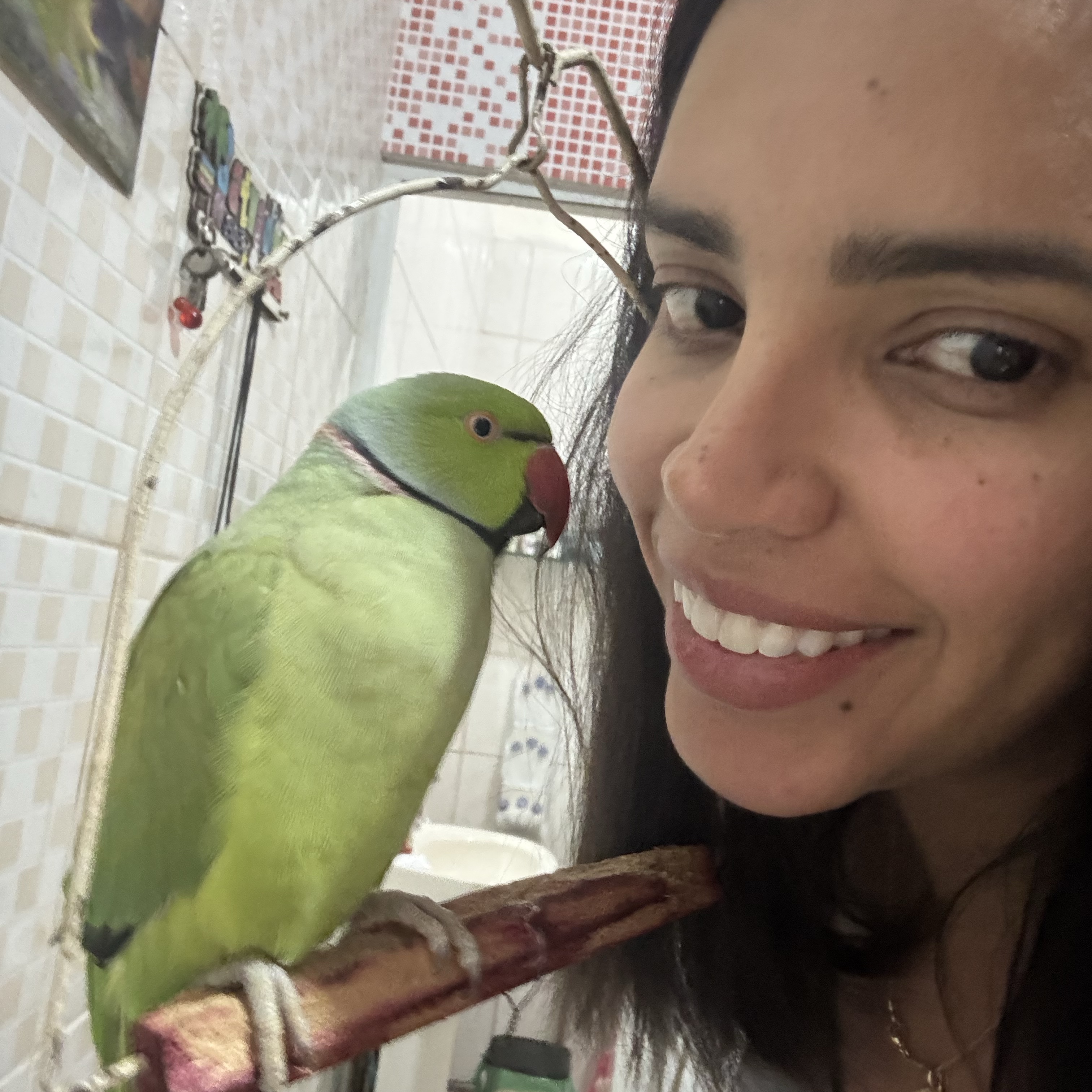 Chico