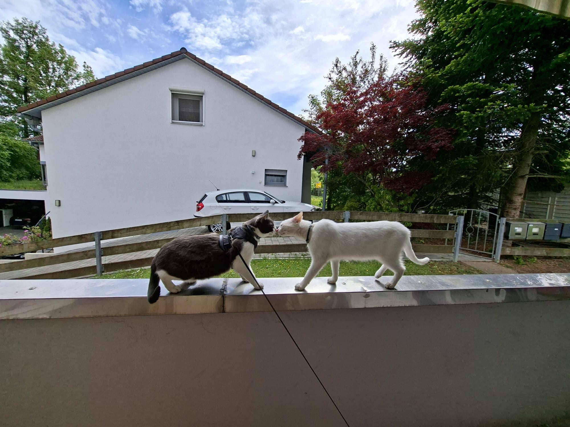 image-14