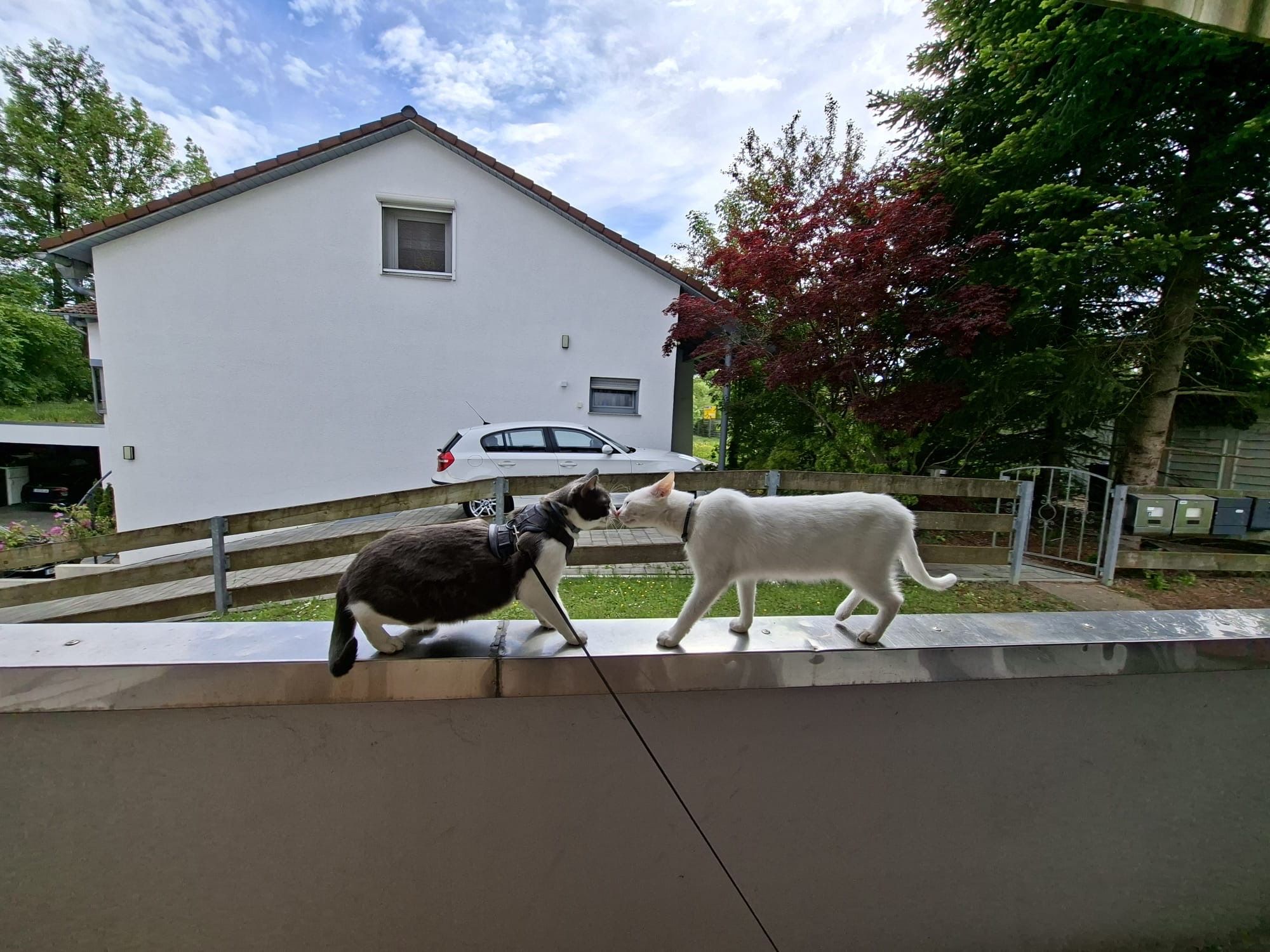 image-14