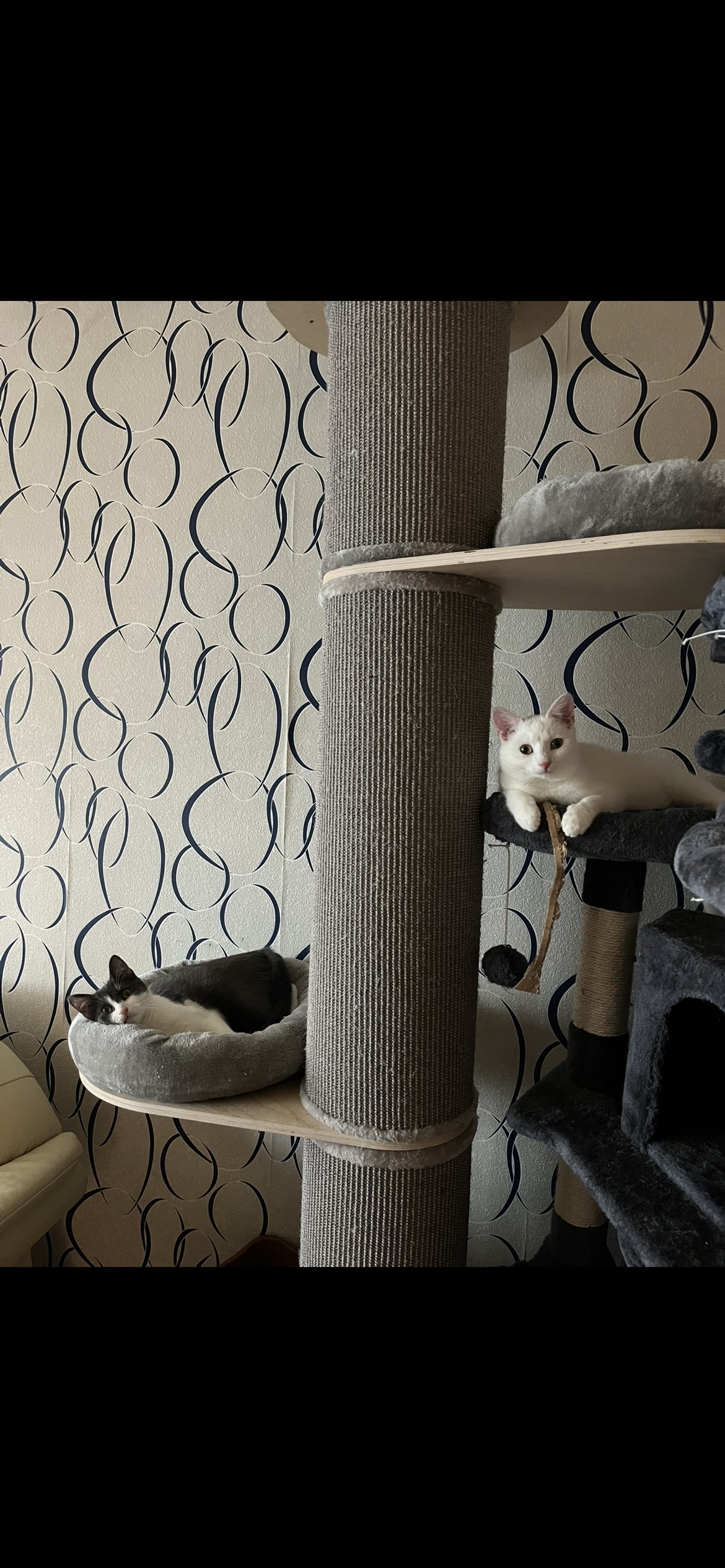 image-13