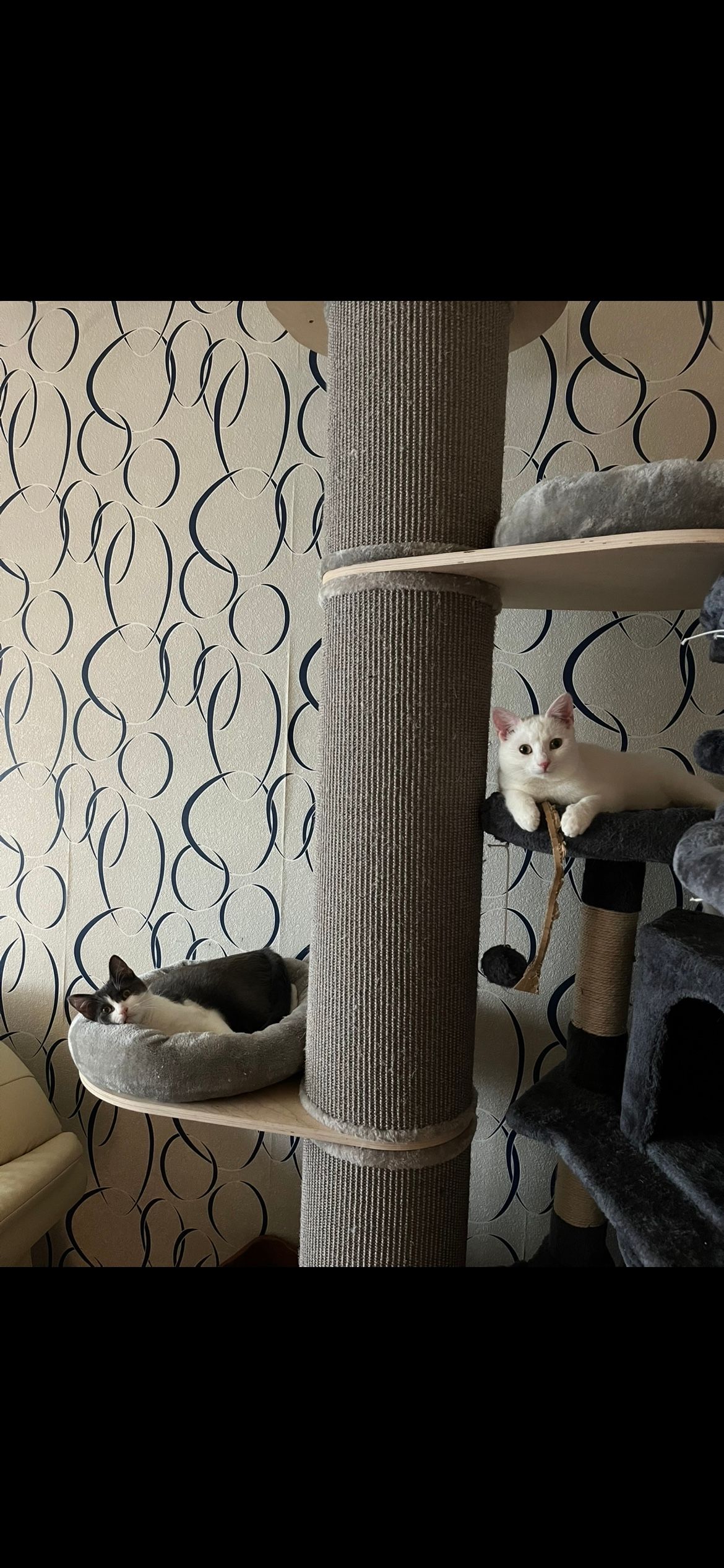image-13