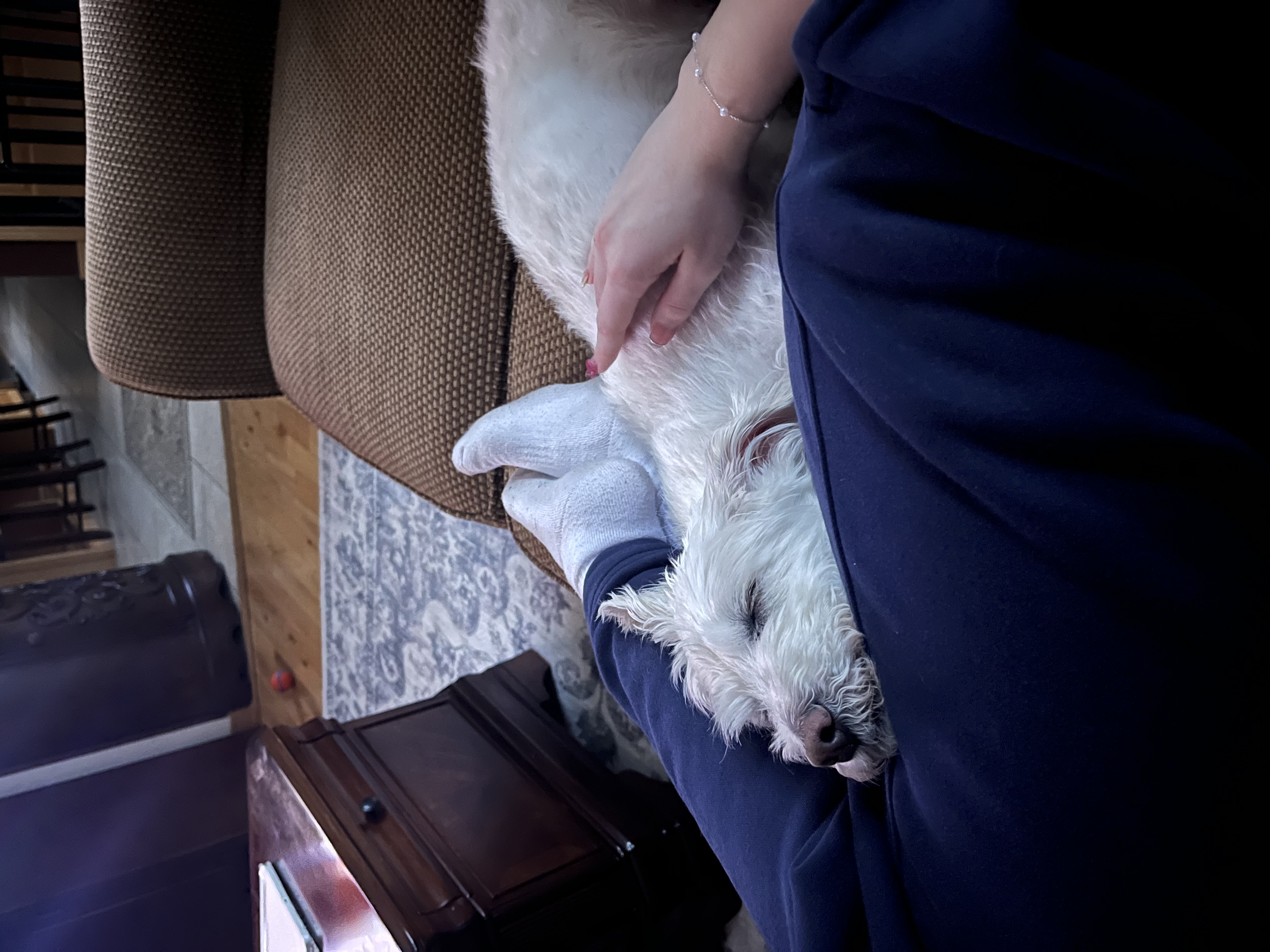 image-7