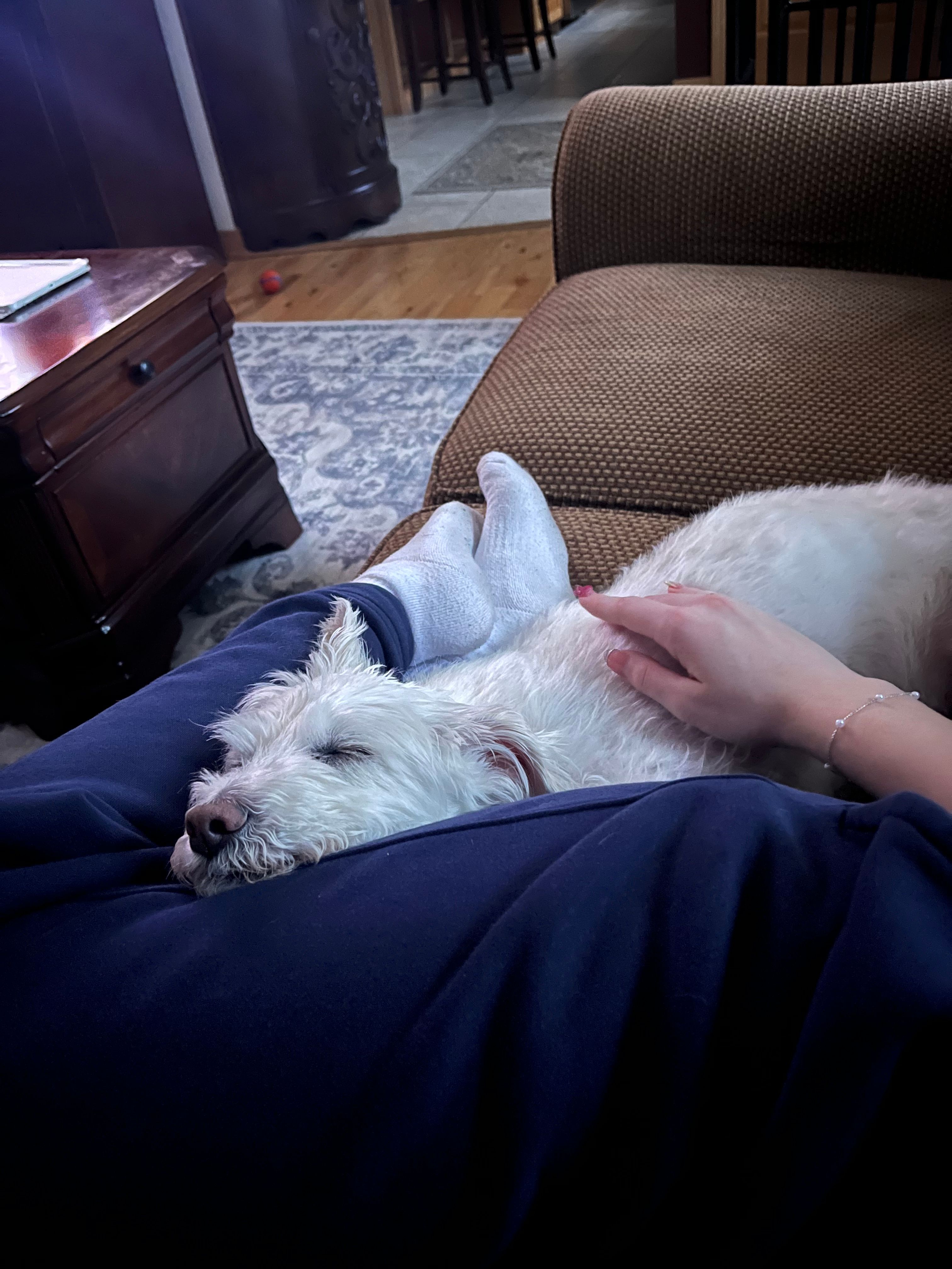 image-7