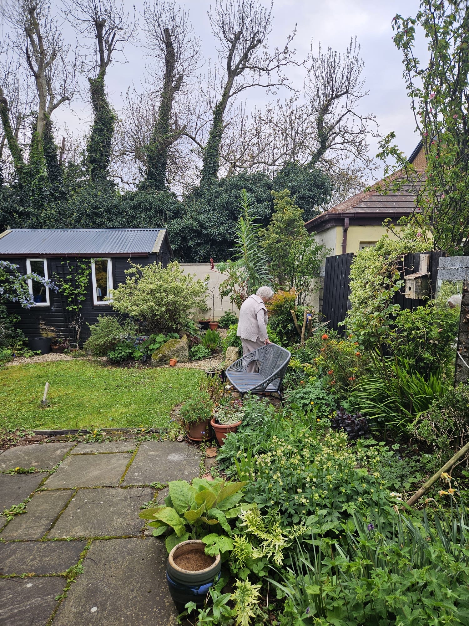 image-16