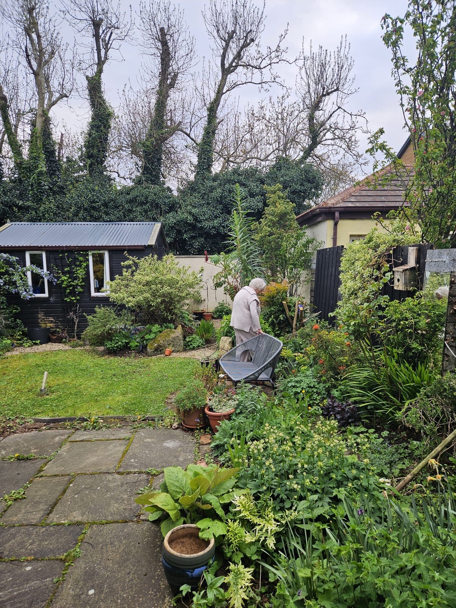 image-16