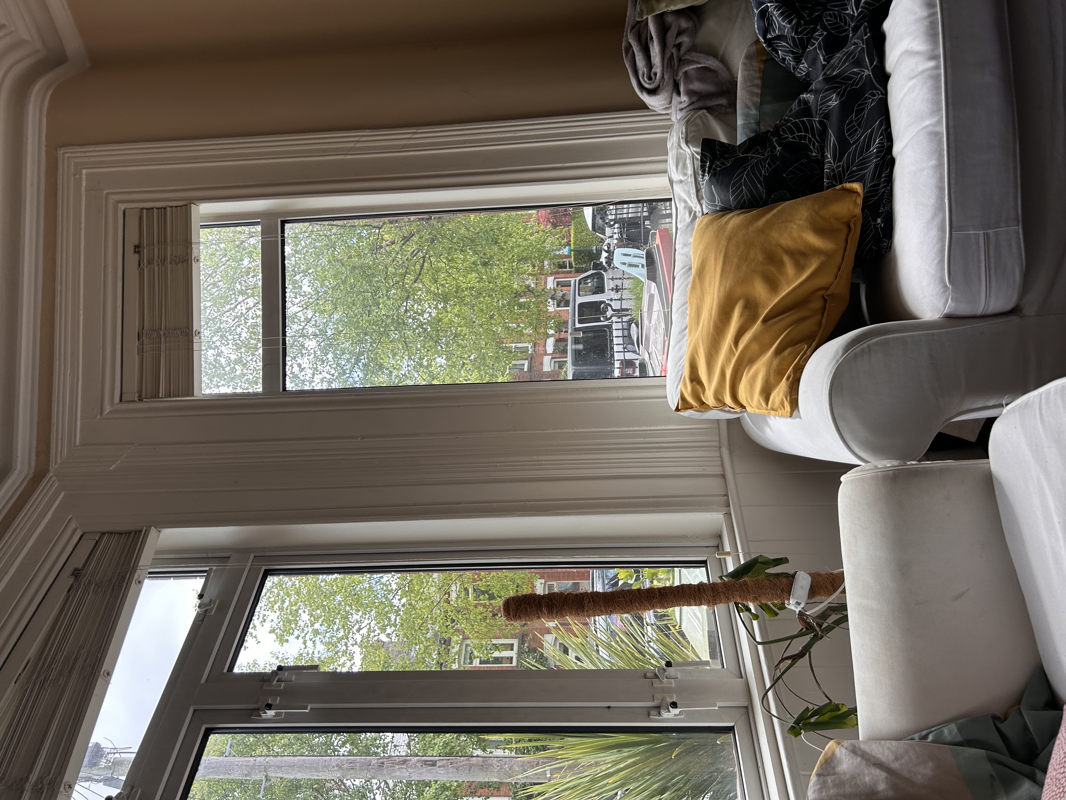 image-14
