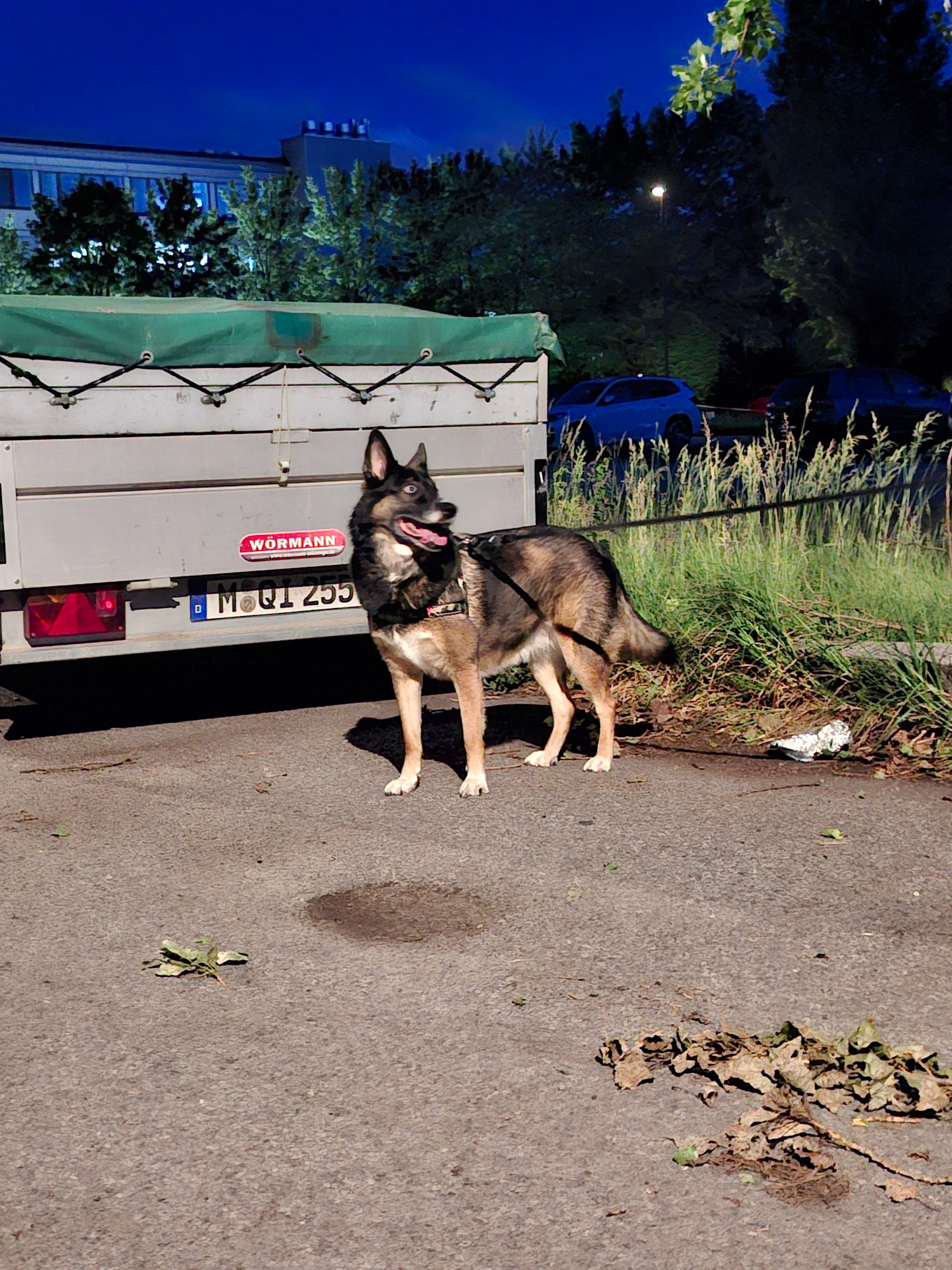 image-7