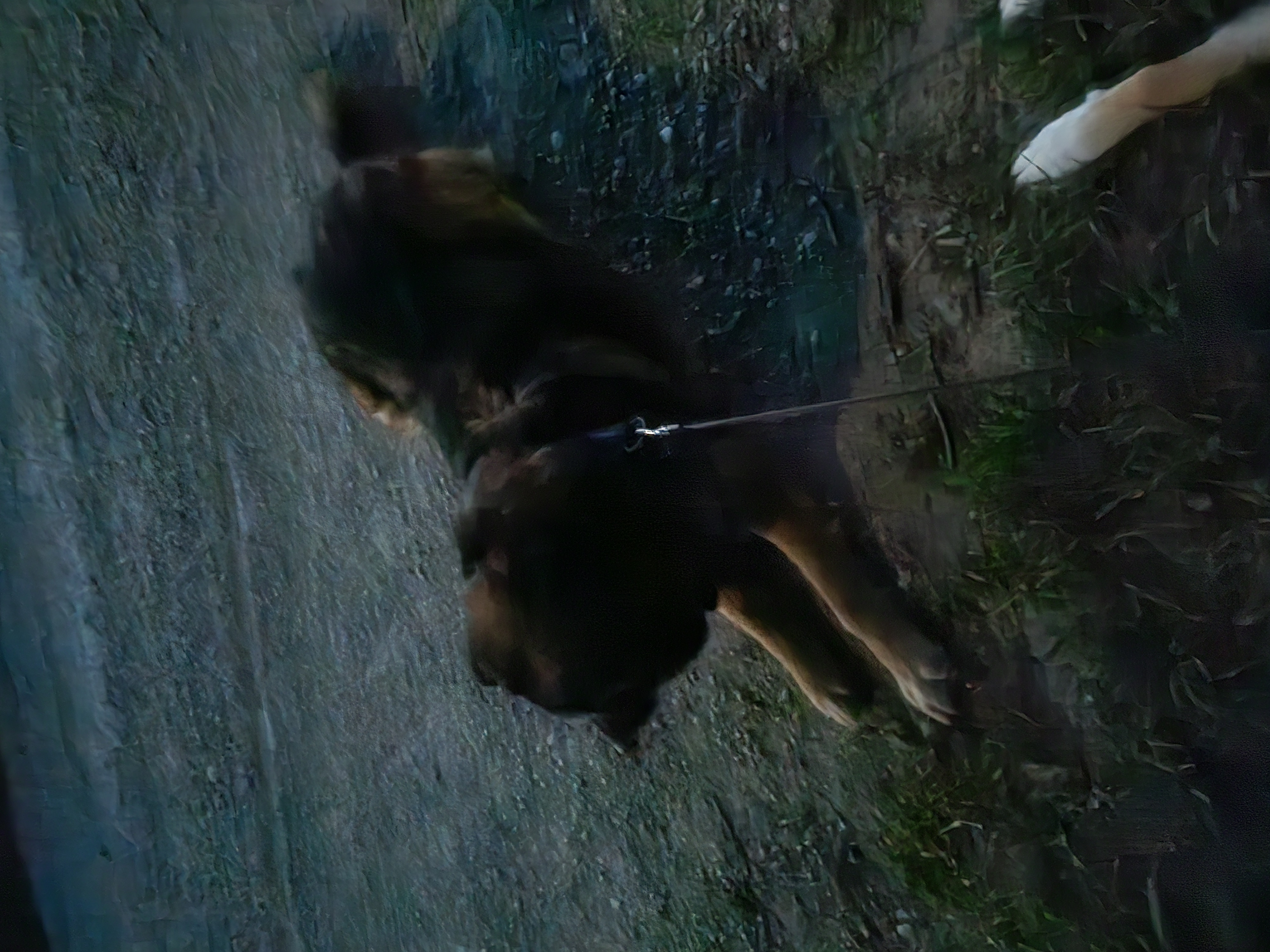 image-8