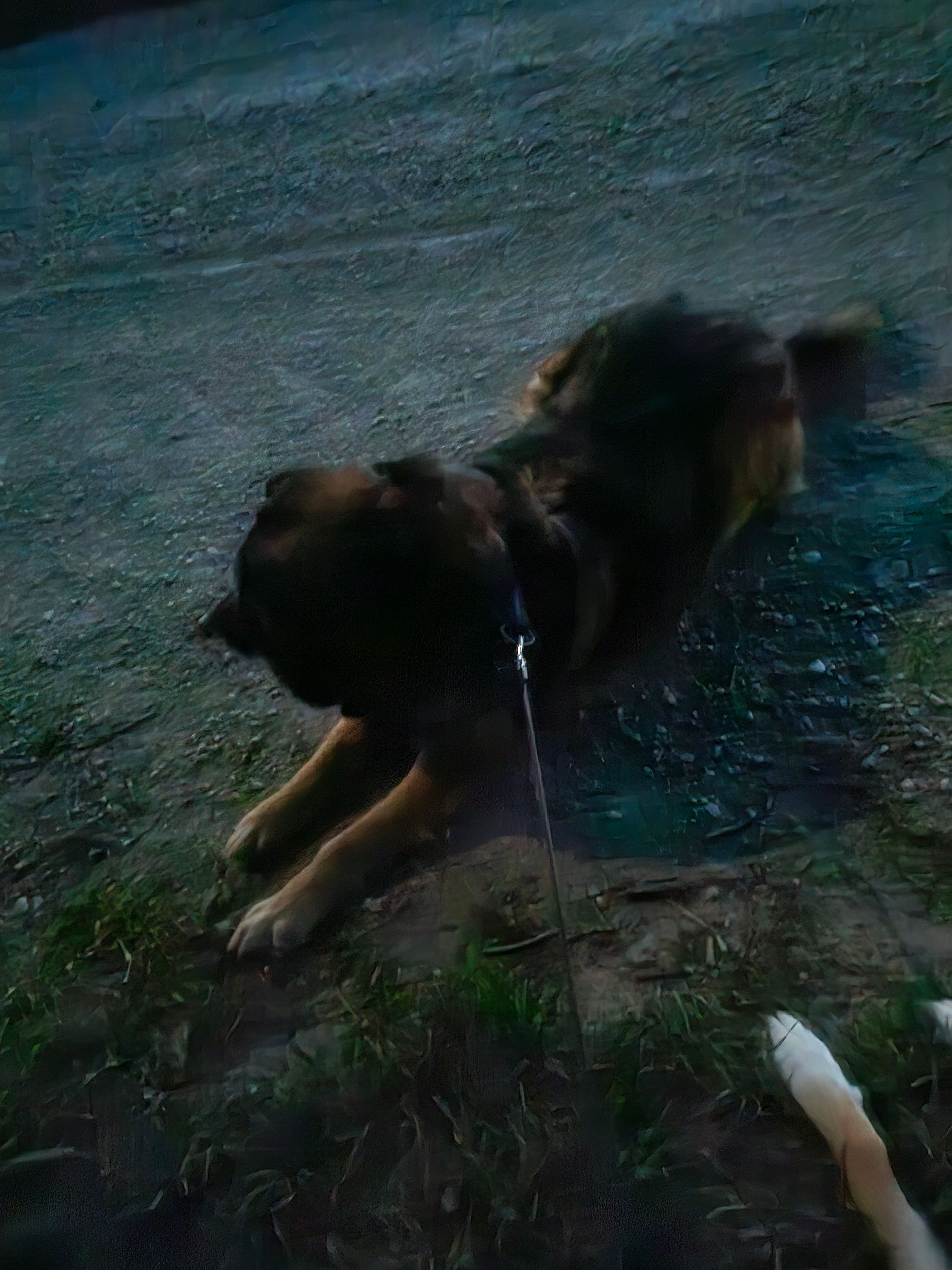 image-8