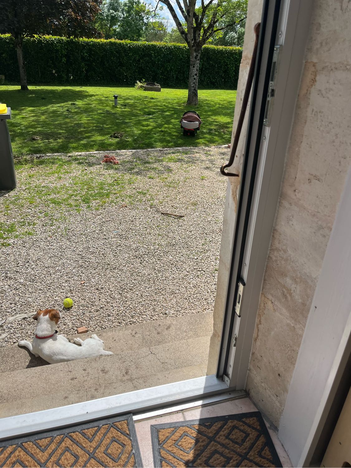 image-8