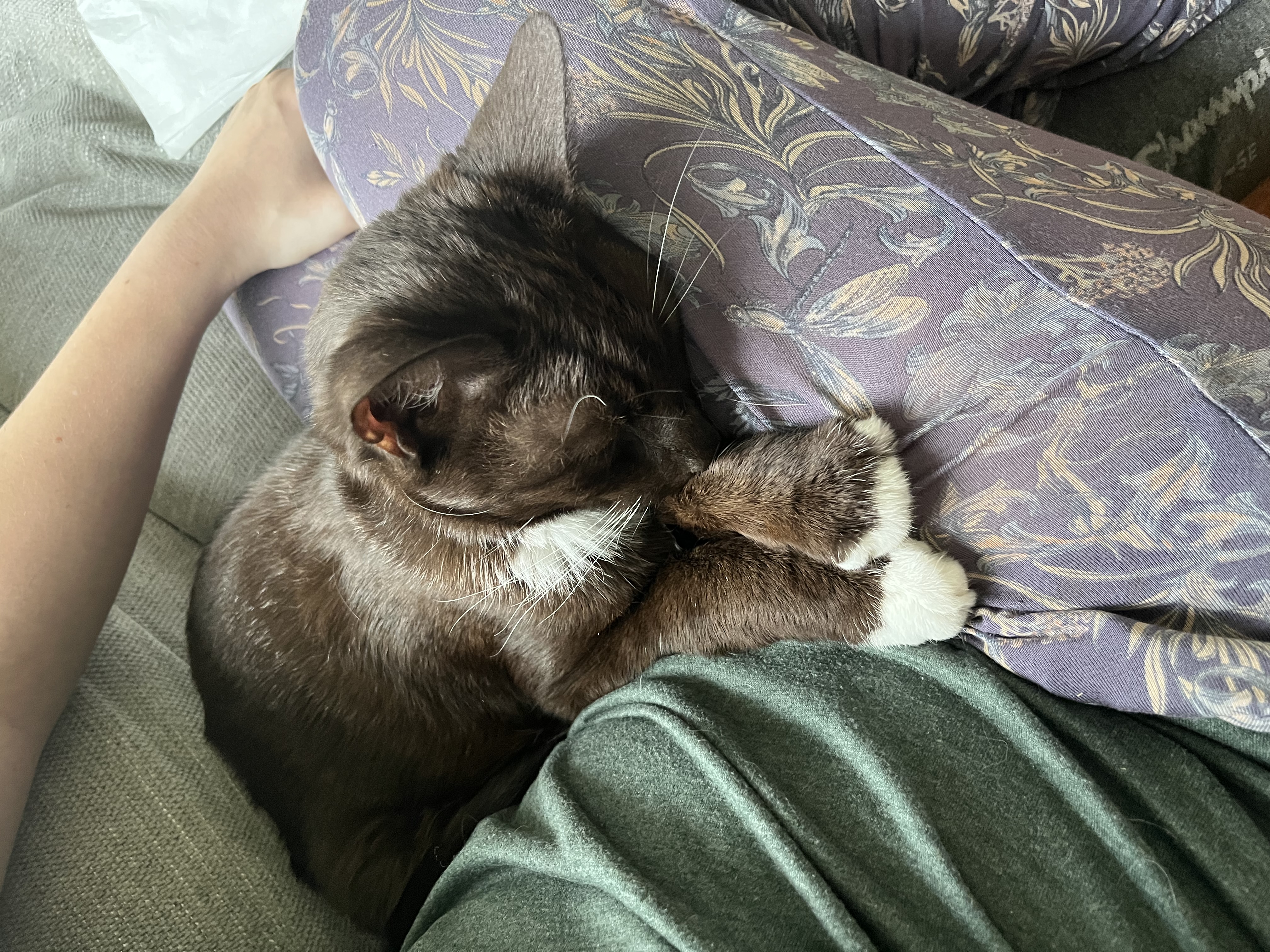 image-8