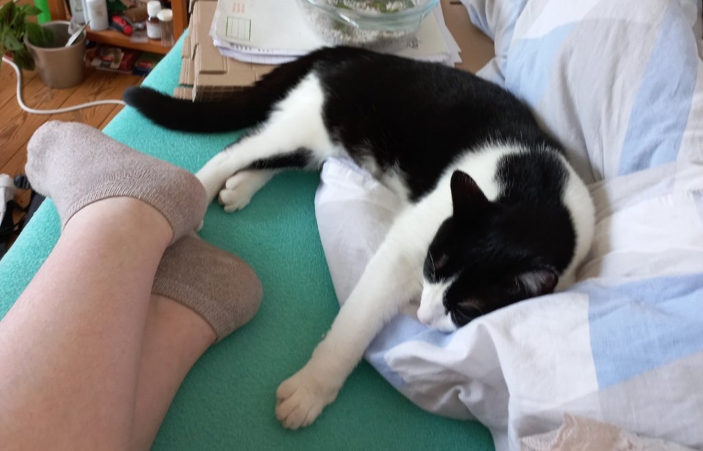 image-5